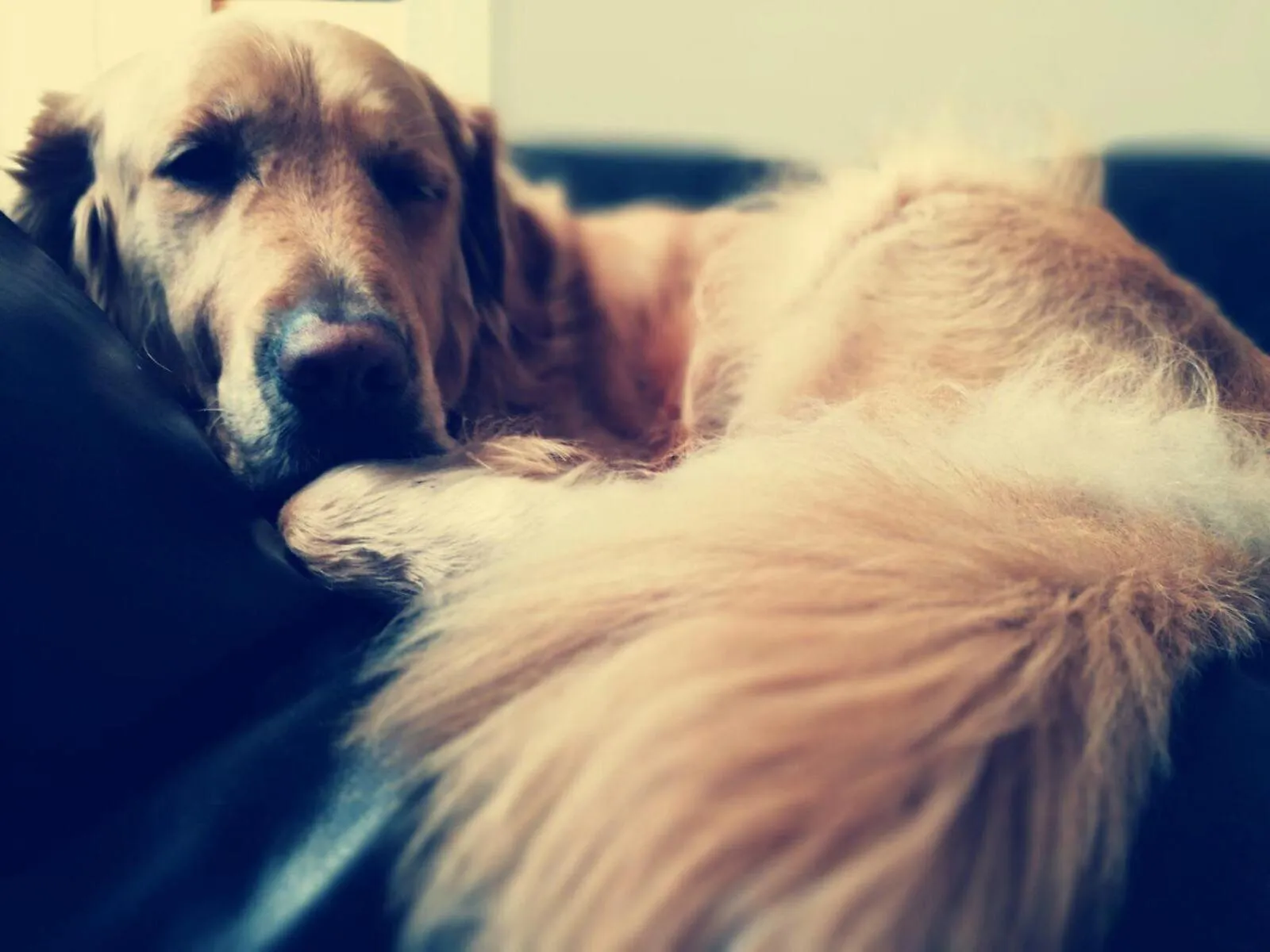 Foresteria Pellegrino