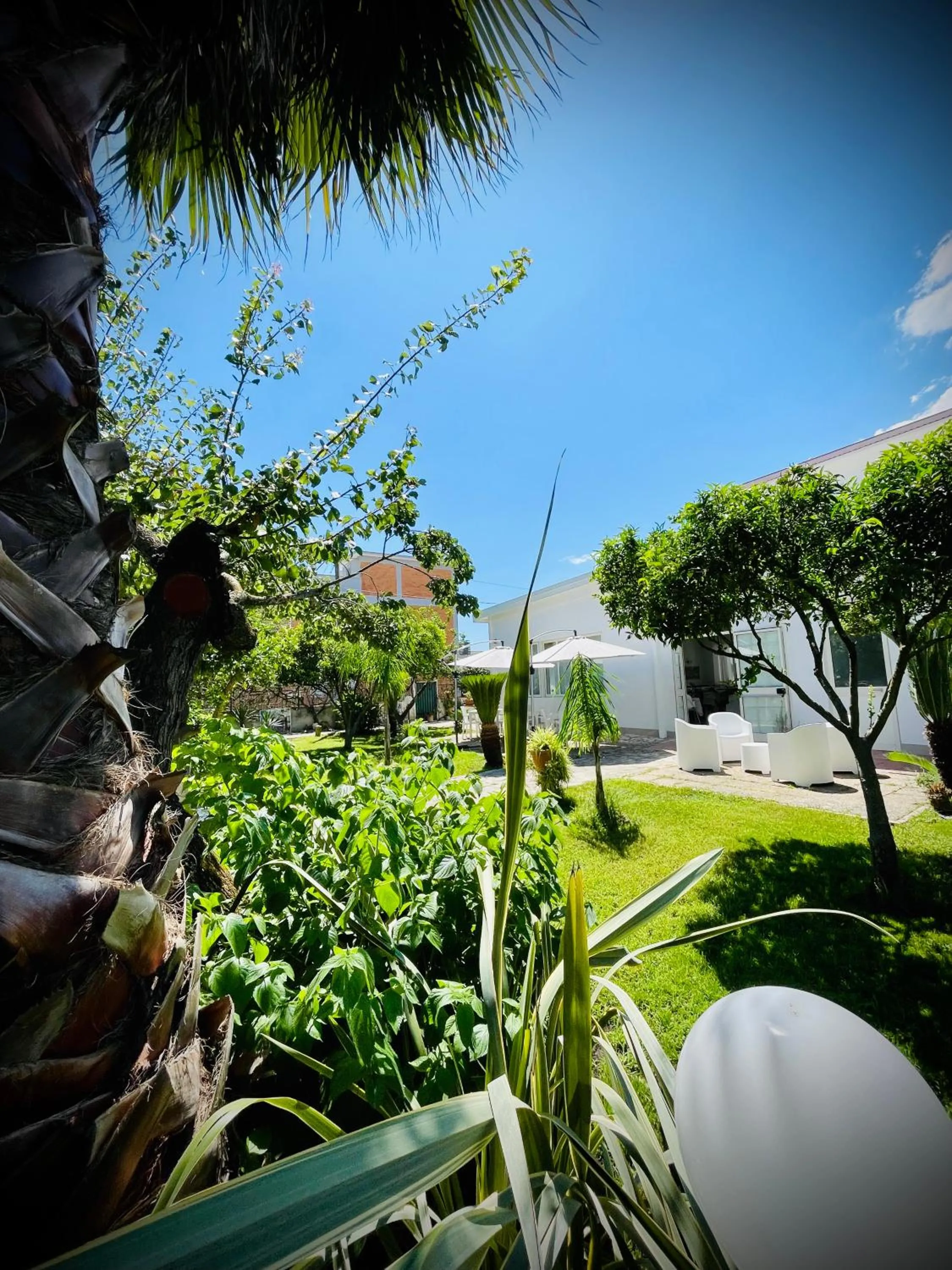Garden in Minturnae Hotel