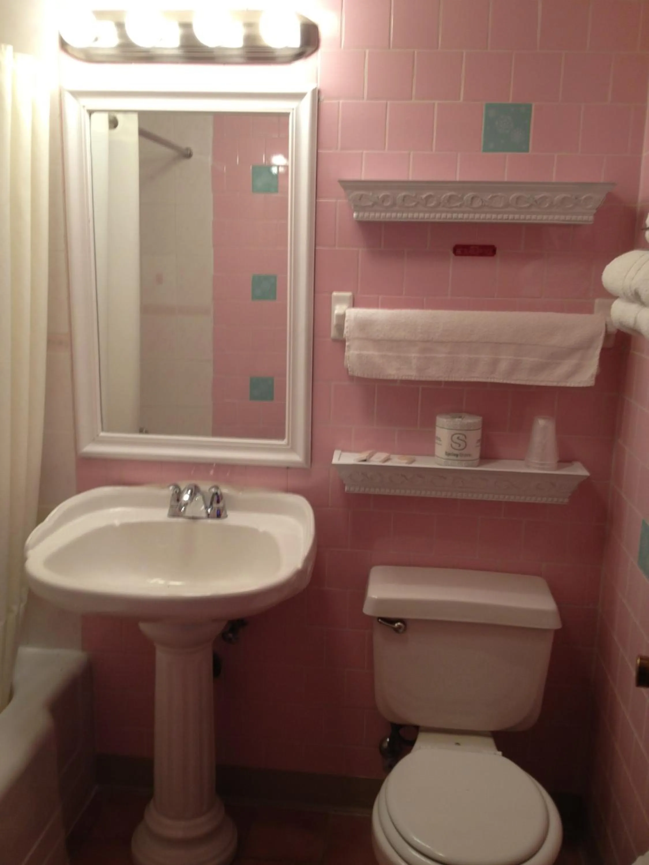 Bathroom in Moonlite Motel