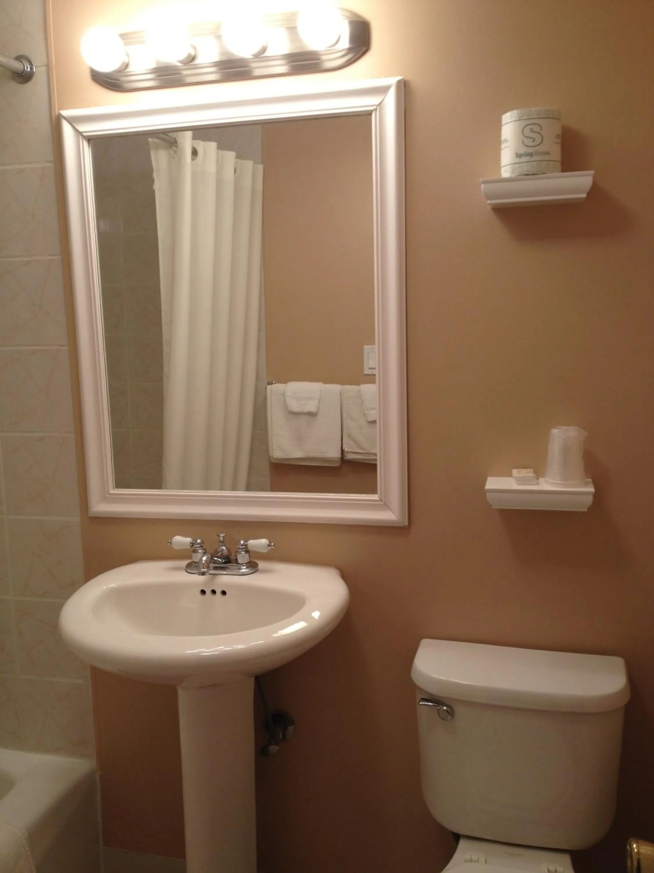 Bathroom in Moonlite Motel