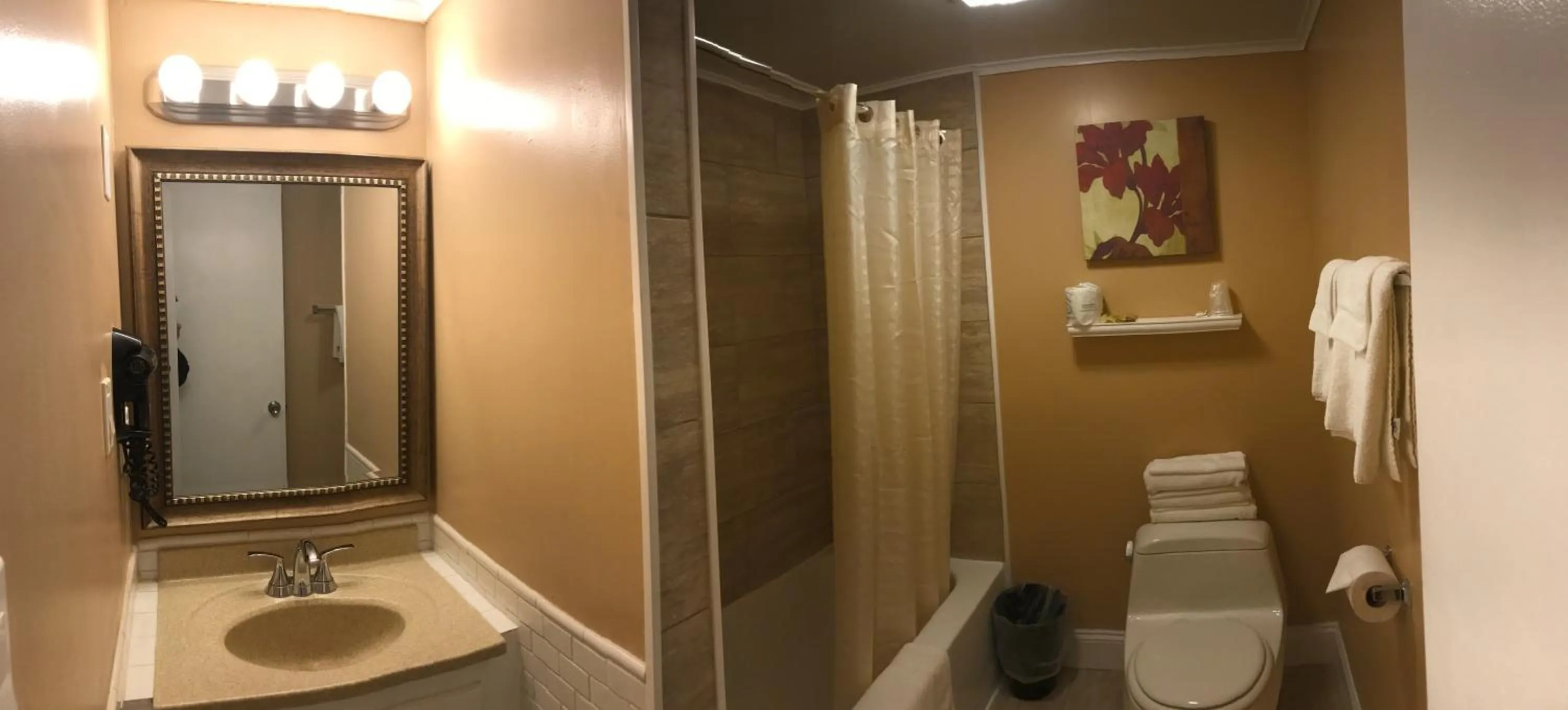 Bathroom in Moonlite Motel