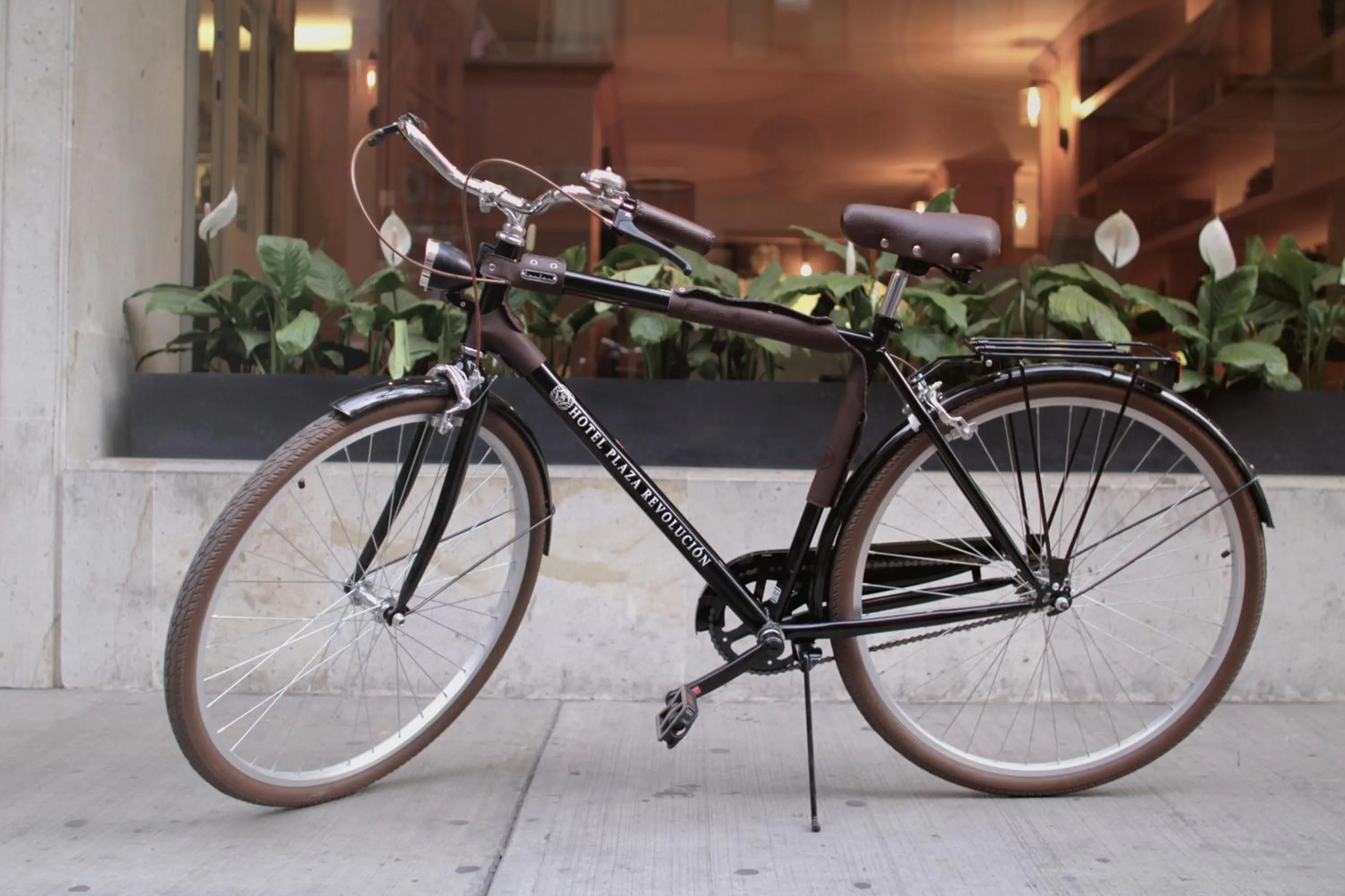 Activities in Hotel Plaza Revolución