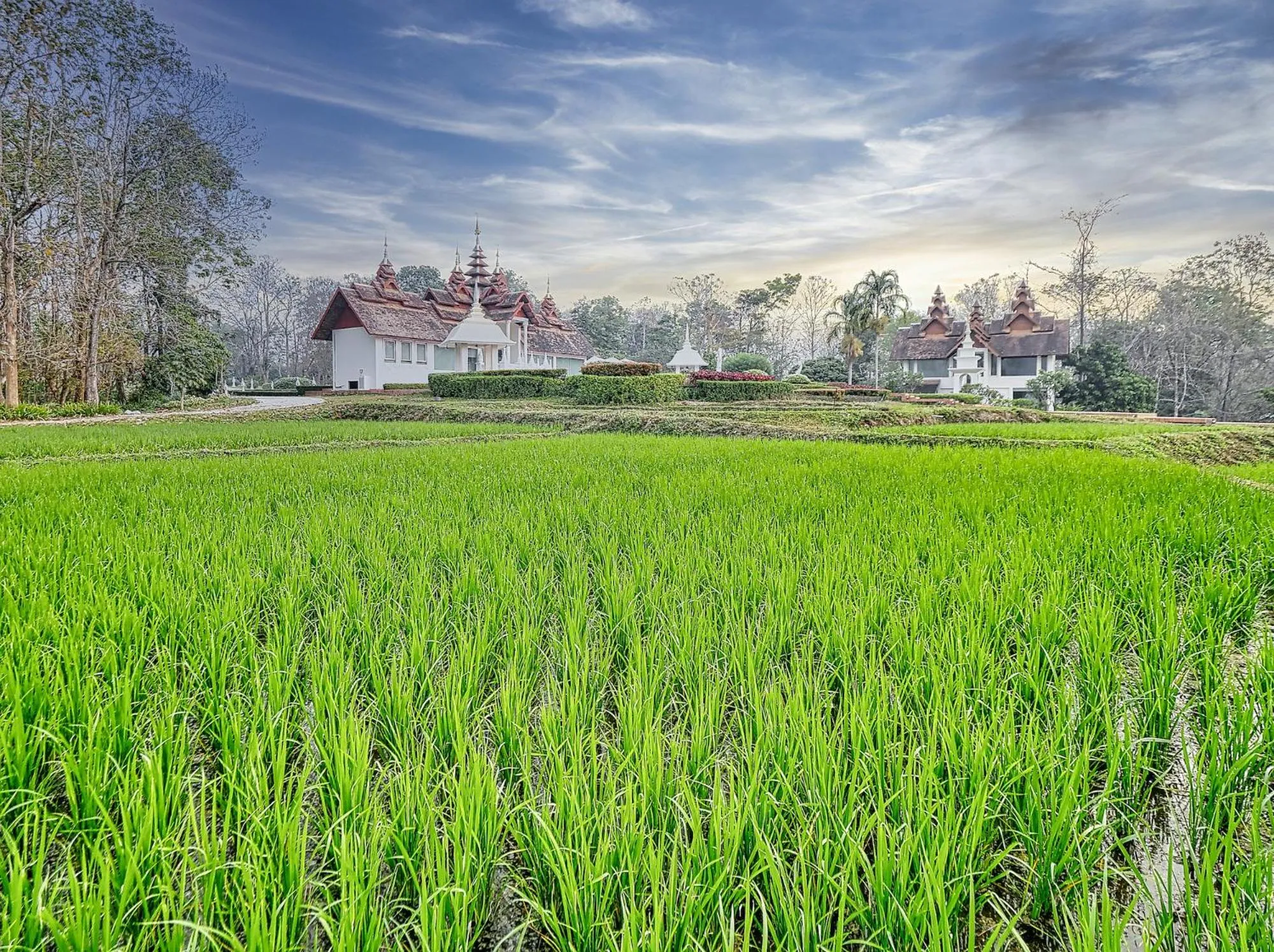 Natural landscape in MonPanaNont Wellness Resort & Spa