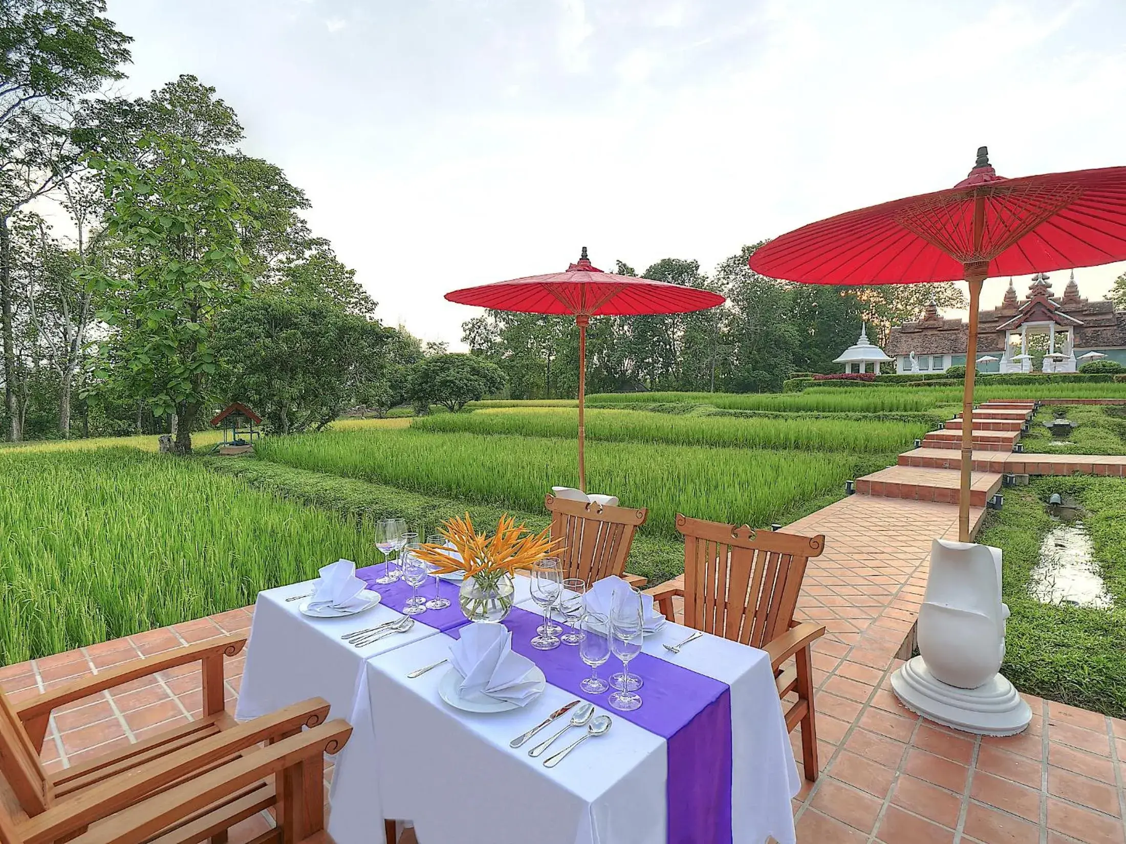 Restaurant/places to eat in MonPanaNont Wellness Resort & Spa Restaurant/places to eat in MonPanaNont Wellness Resort & Spa