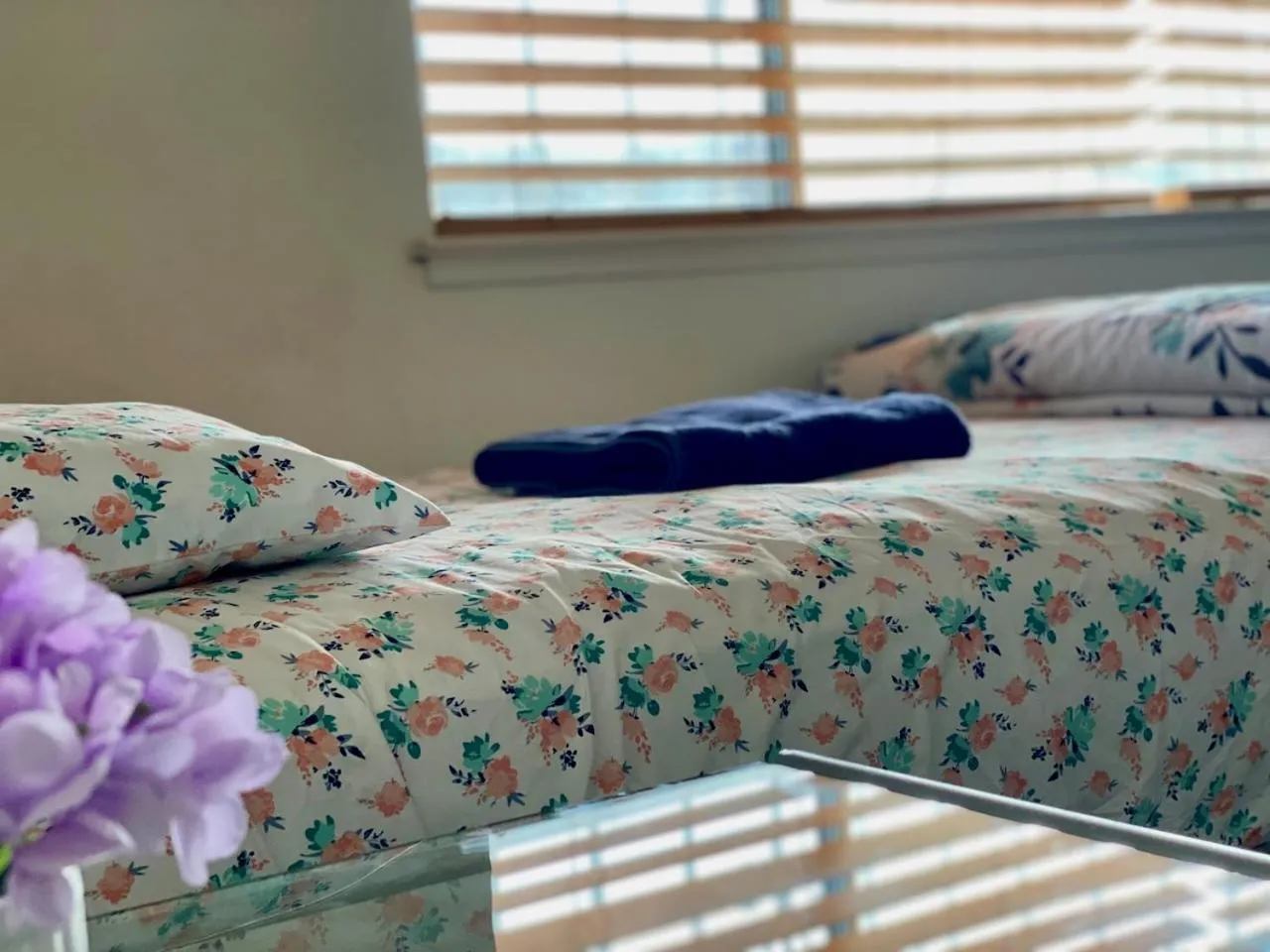 Bed in WHOLE Family - Wolfgram