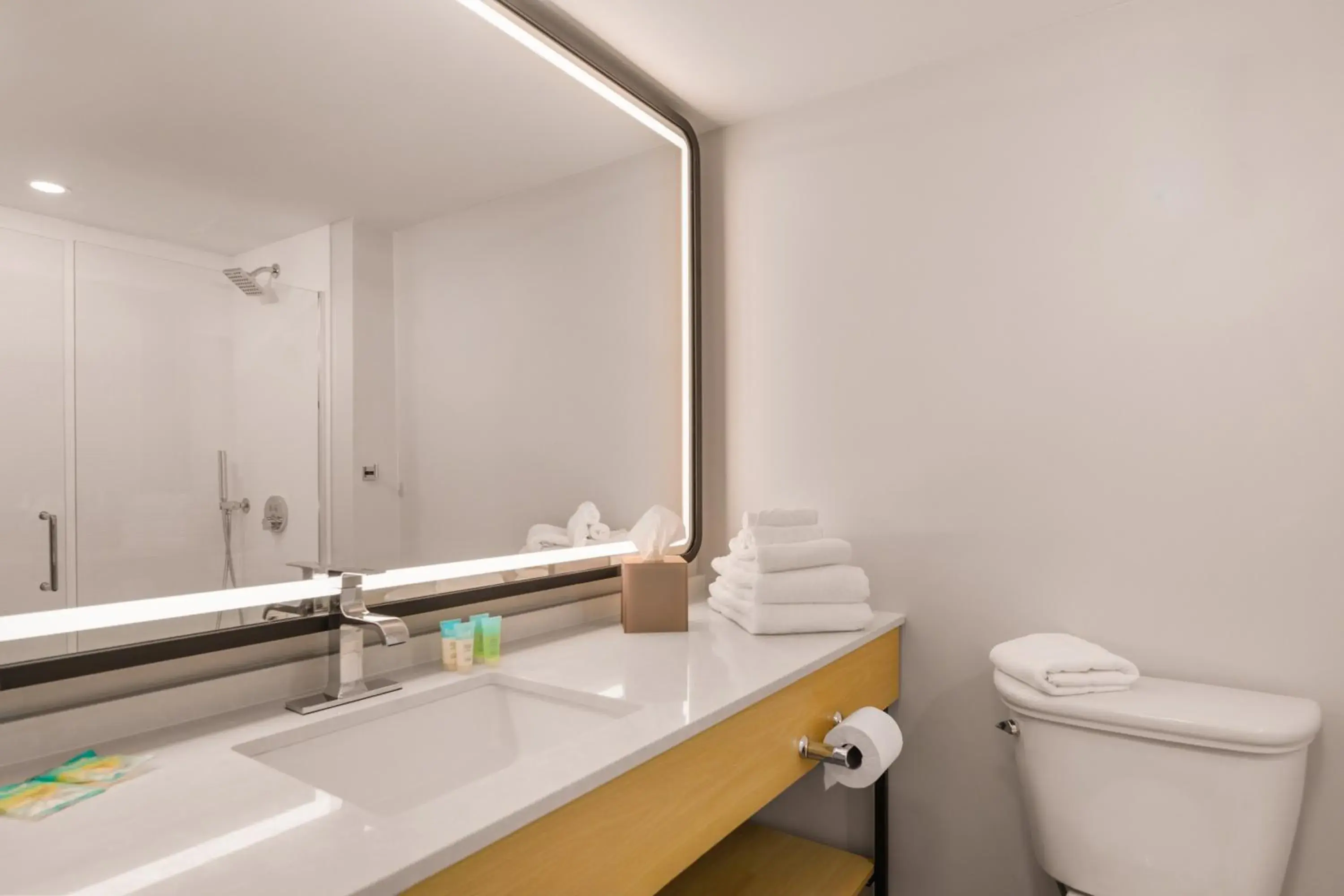 Two Queen Beds Pool Access - Non Smoking in B&B HOTEL Orlando International Drive near Universal - Newly Renovated! Two Queen Beds Pool Access - Non Smoking in B&B HOTEL Orlando International Drive near Universal - Newly Renovated!