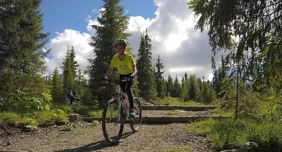 Activities in Torpomoen