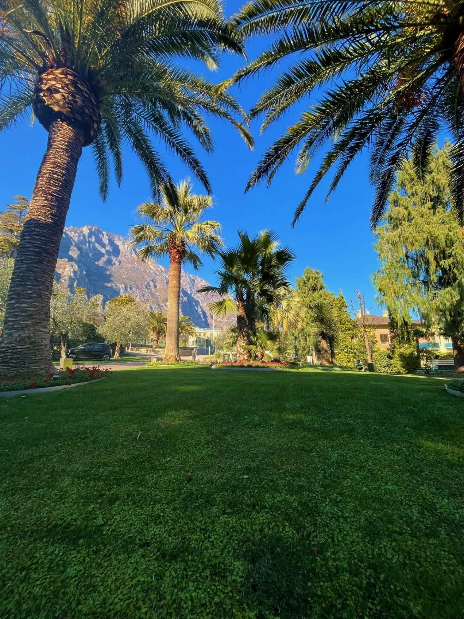 Garden in Hotel Ideal