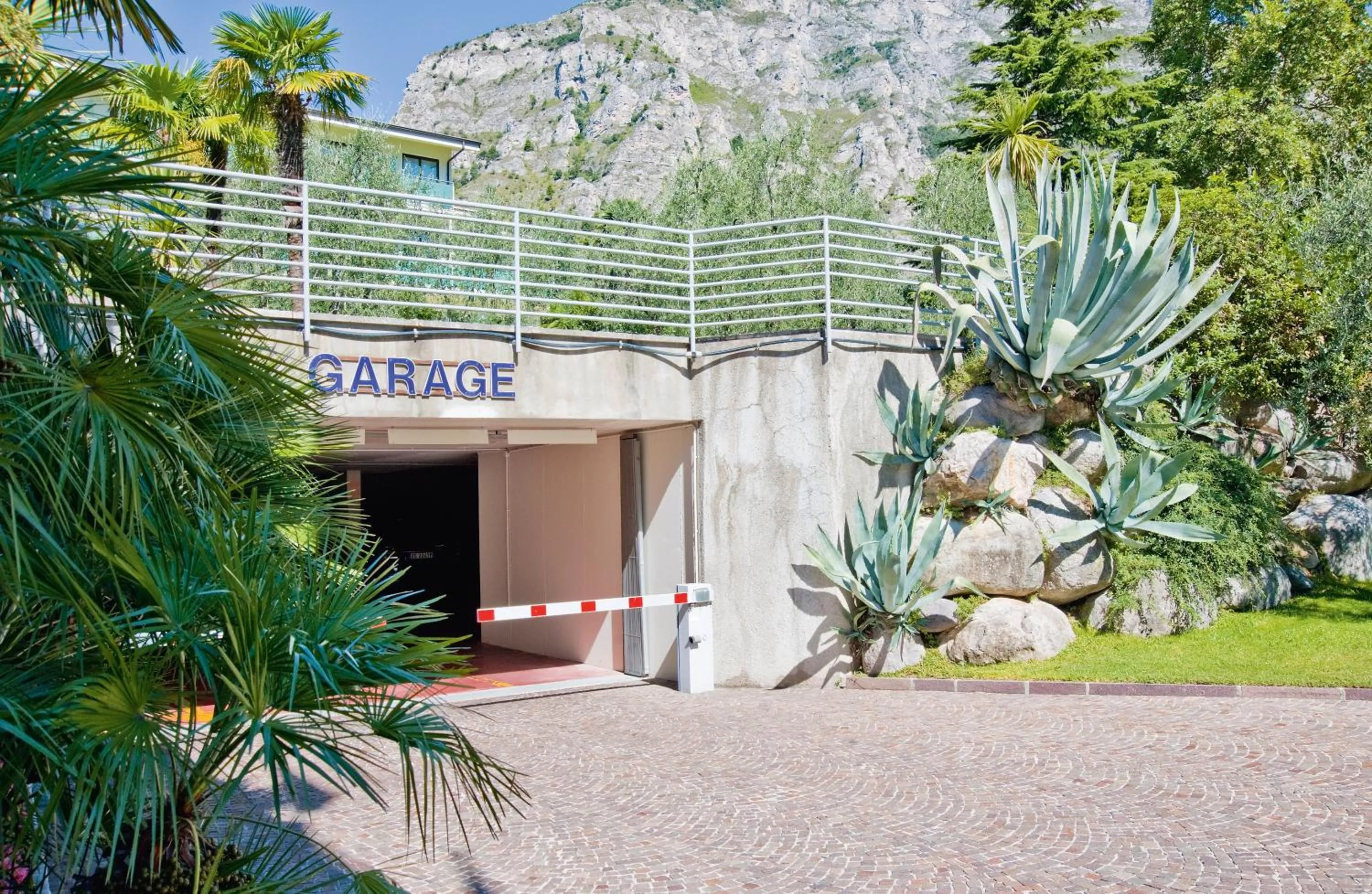 Area and facilities in Hotel Ideal