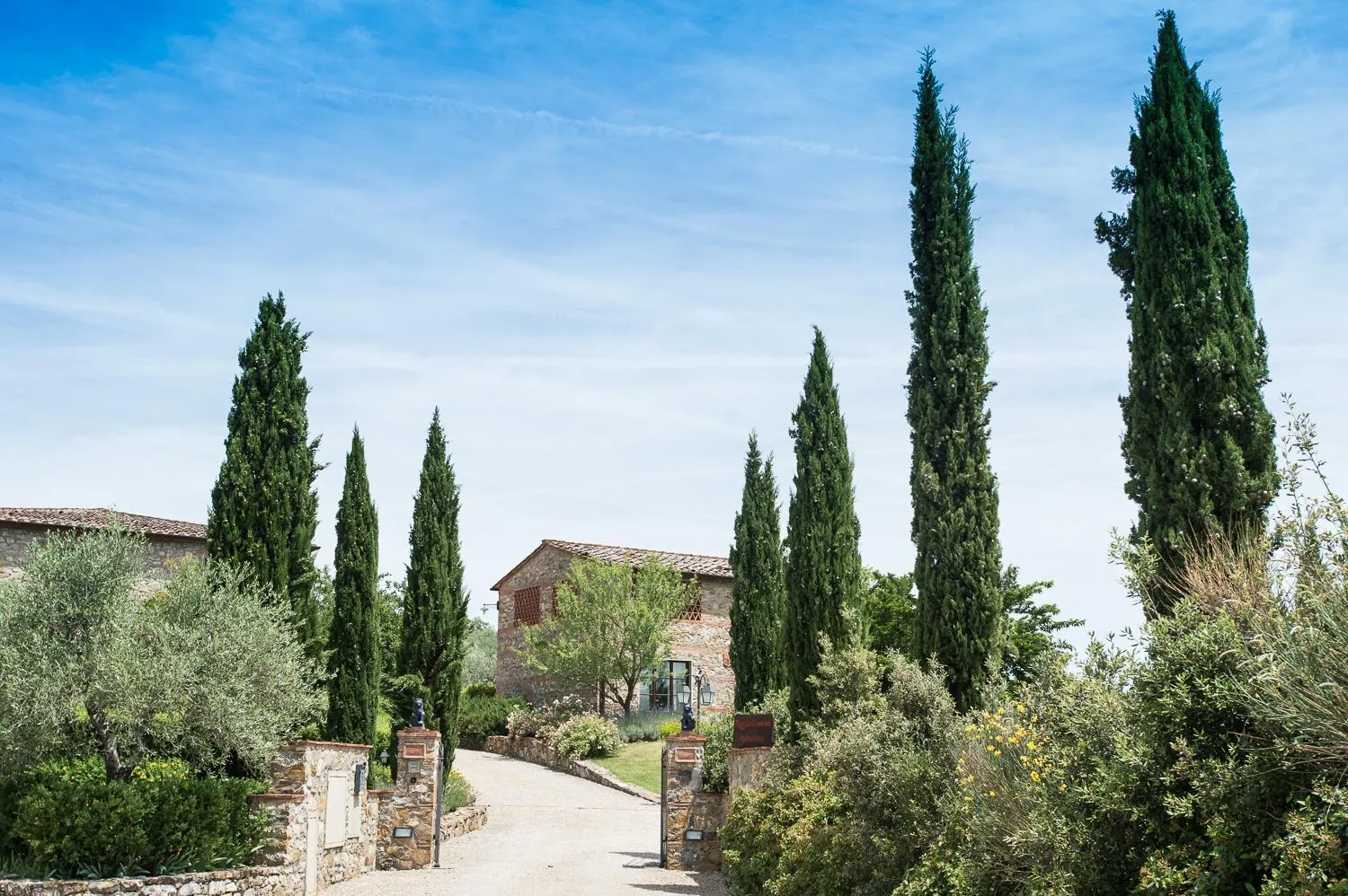 Garden in Poggio Cennina Resort