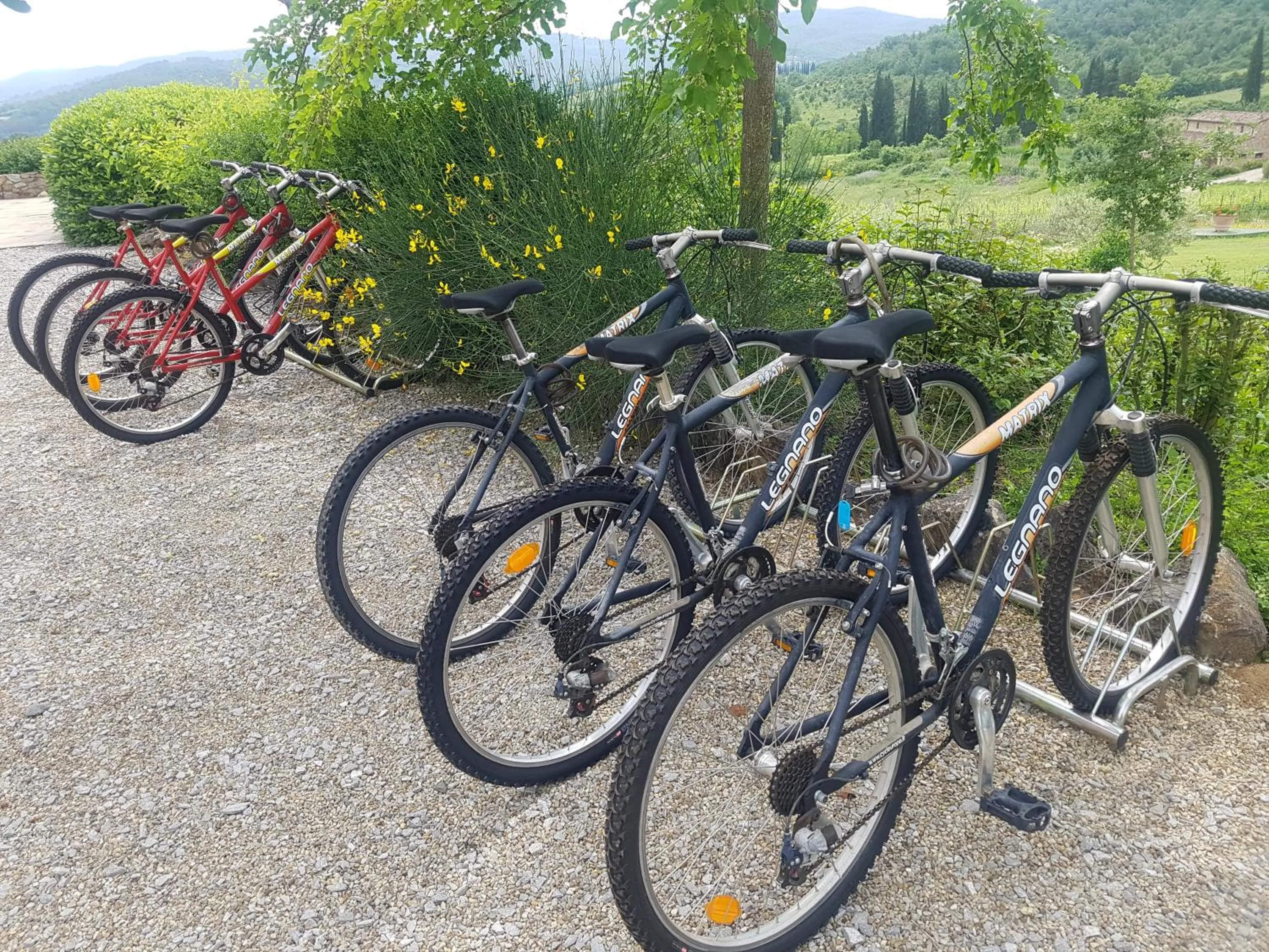 Activities in Poggio Cennina Resort