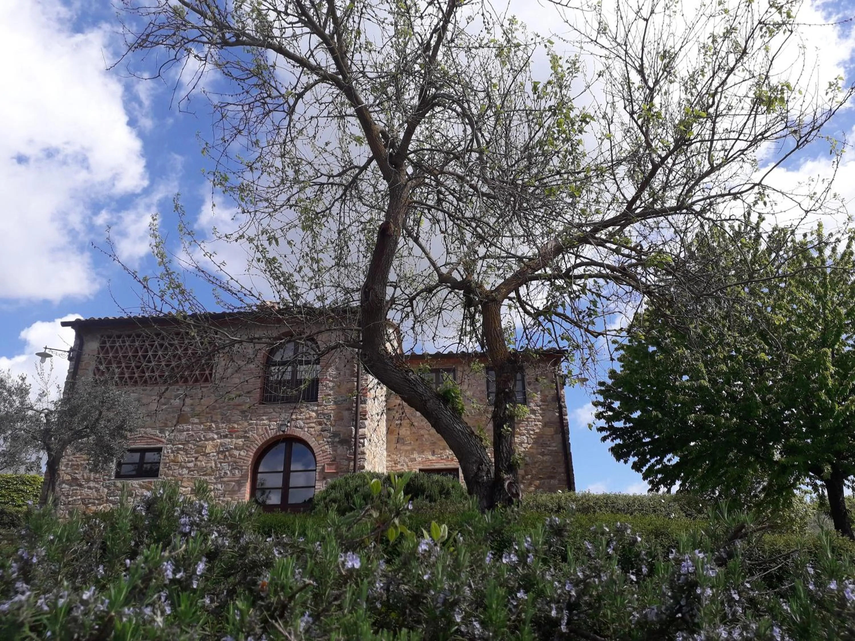 Property building in Poggio Cennina Resort