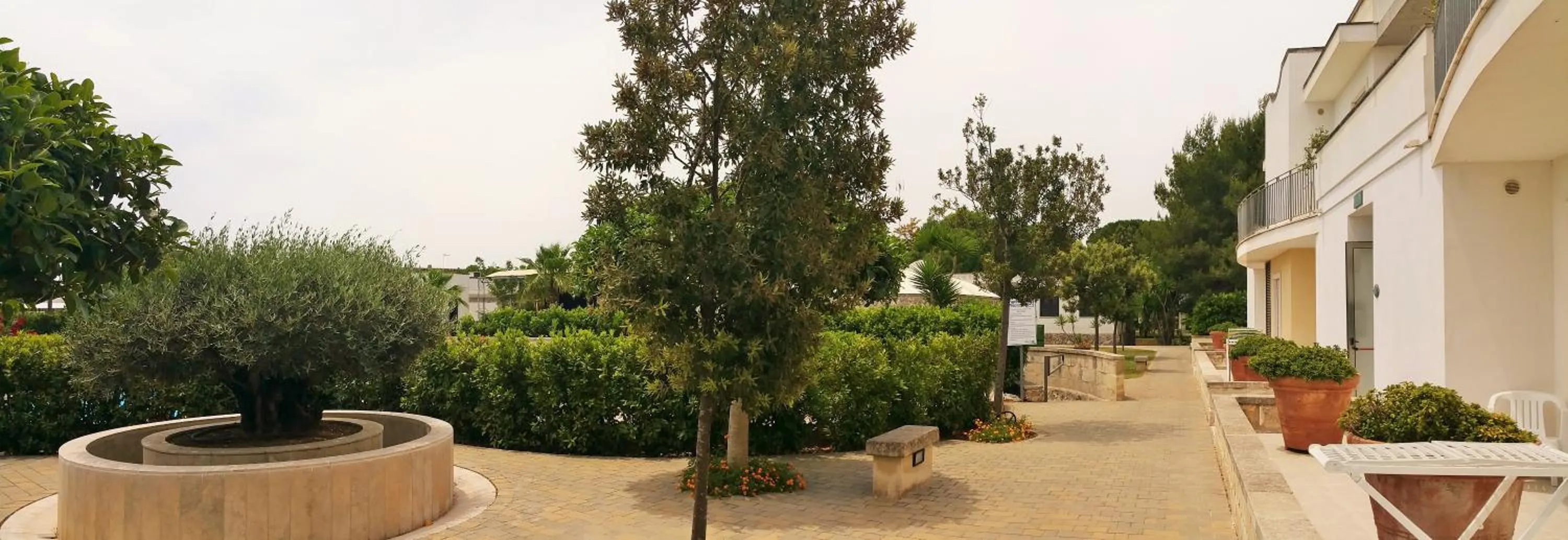 Garden in Hotel Club Koiné