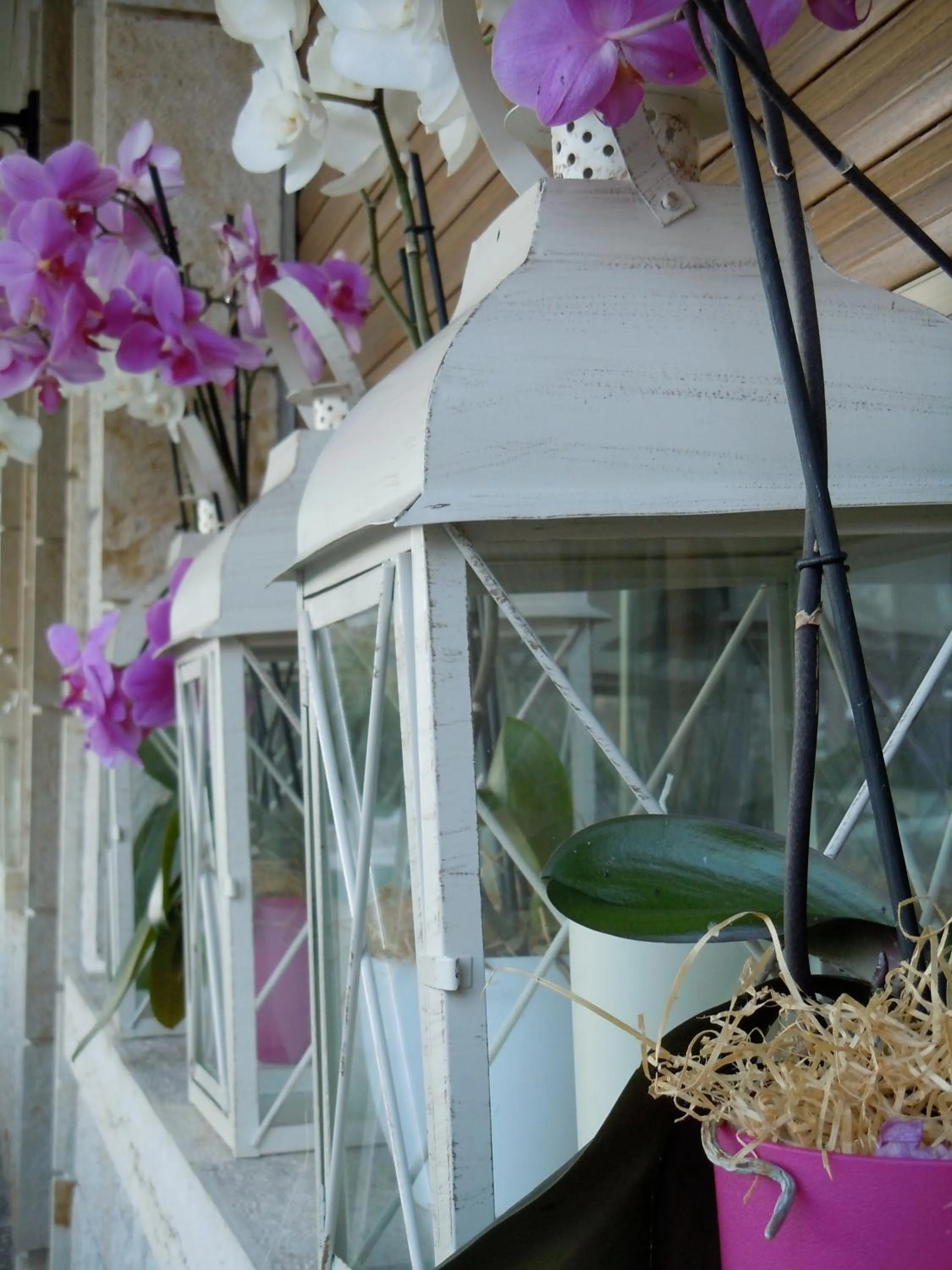 Decorative detail in Torre Degli Ulivi