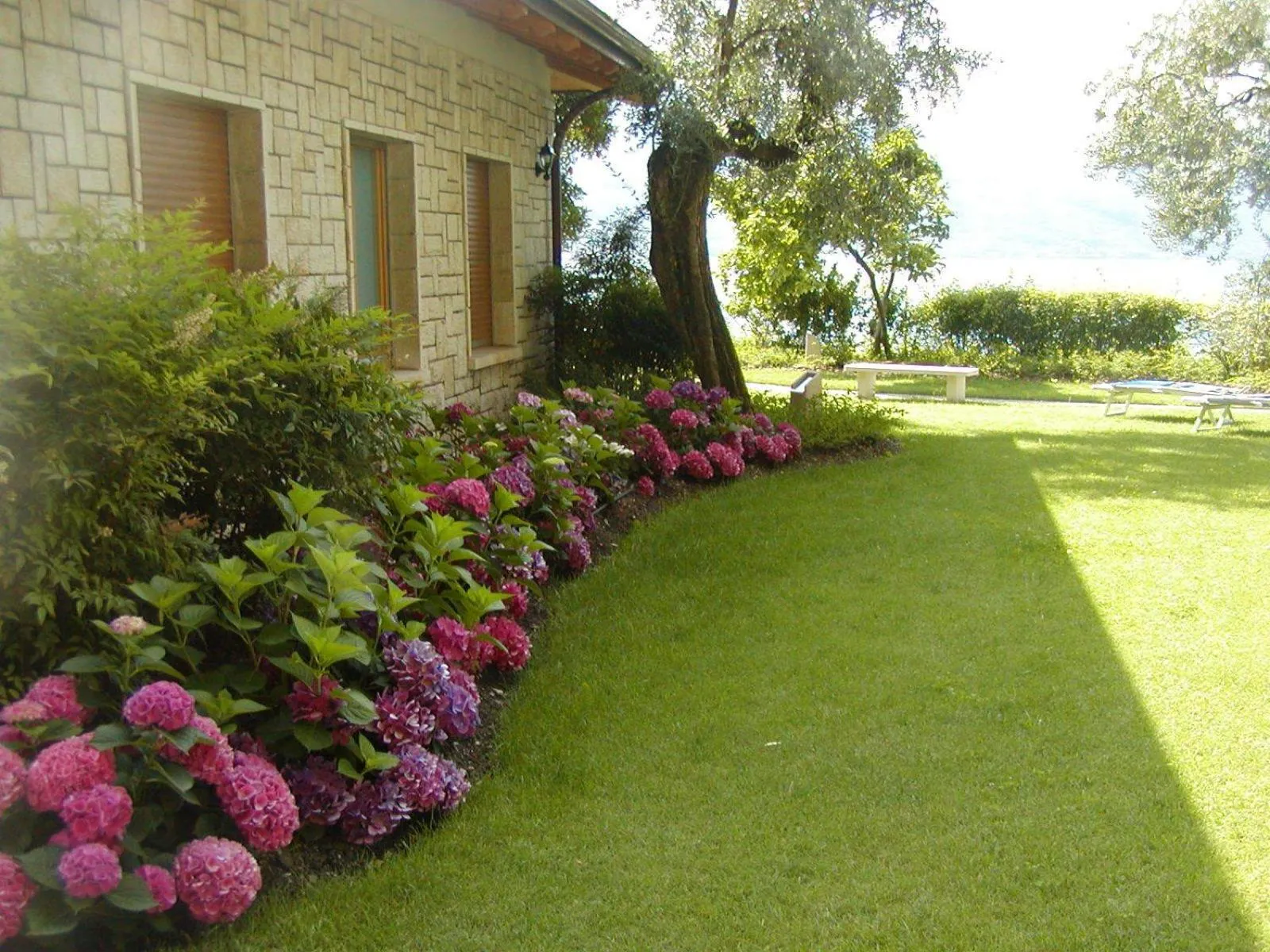 Facade/entrance in Torre Degli Ulivi