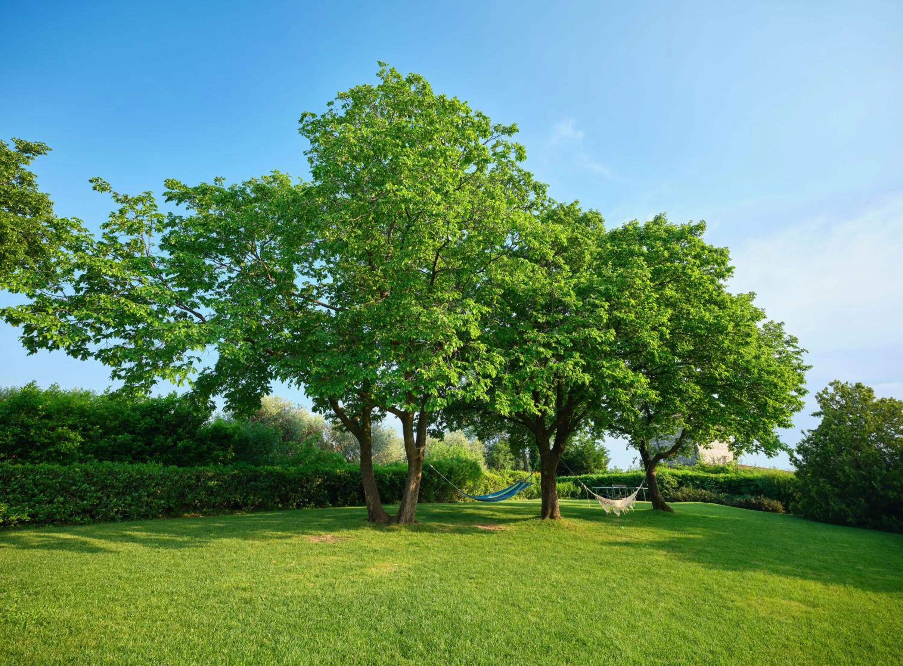 Natural landscape in Villa Beatrice