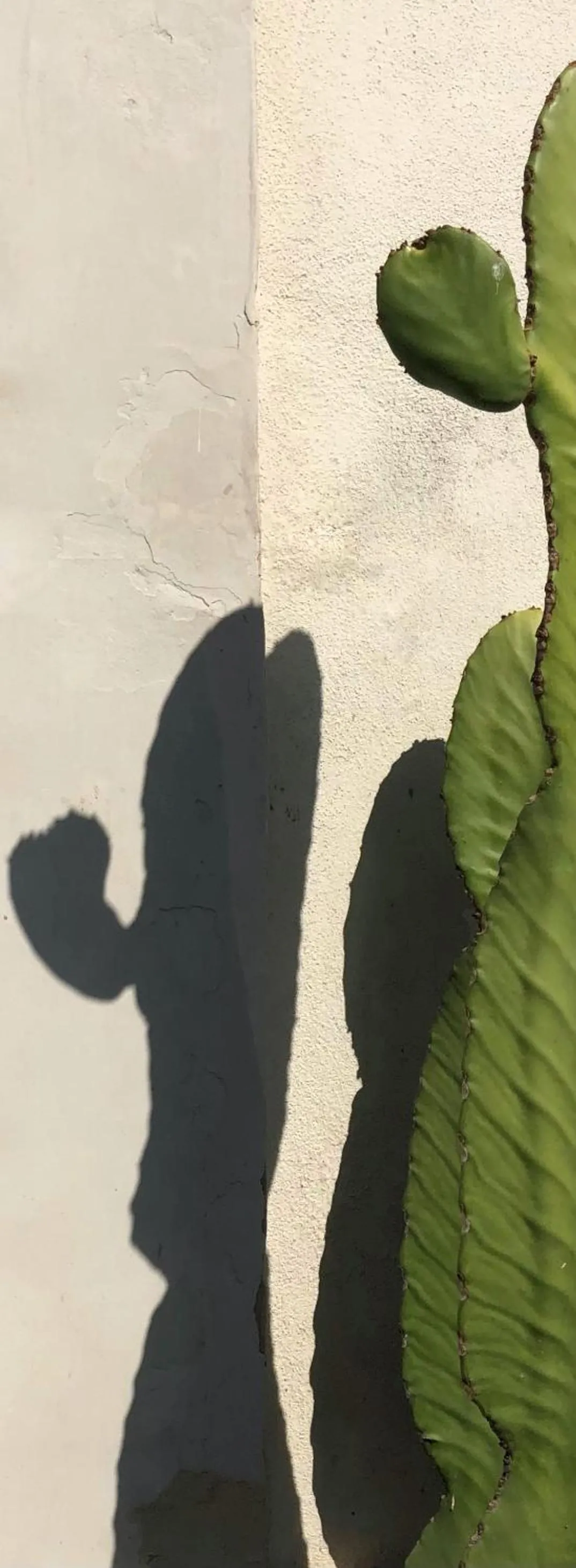 Property building in Room 55