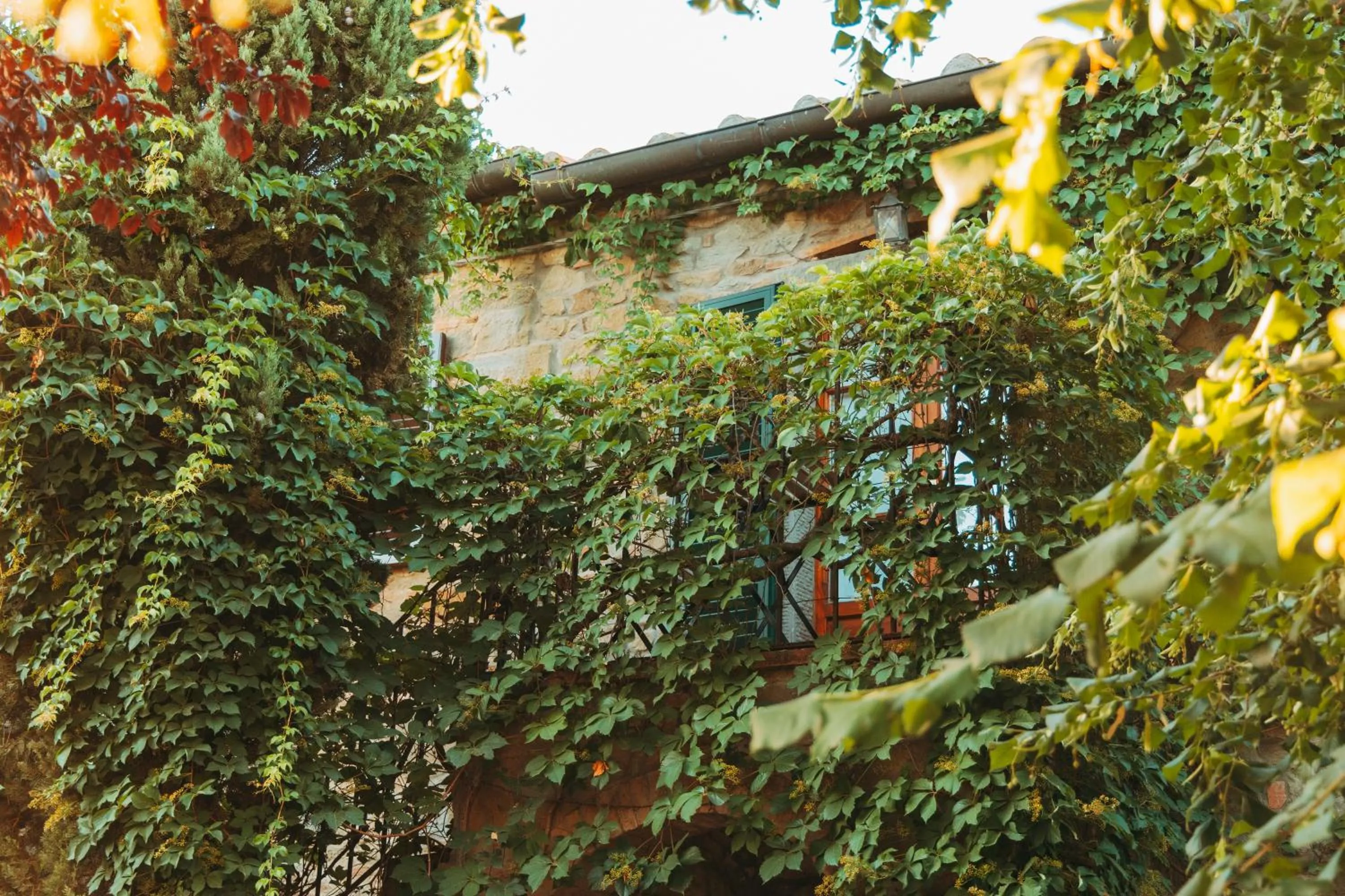 Agriturismo Il Borgo