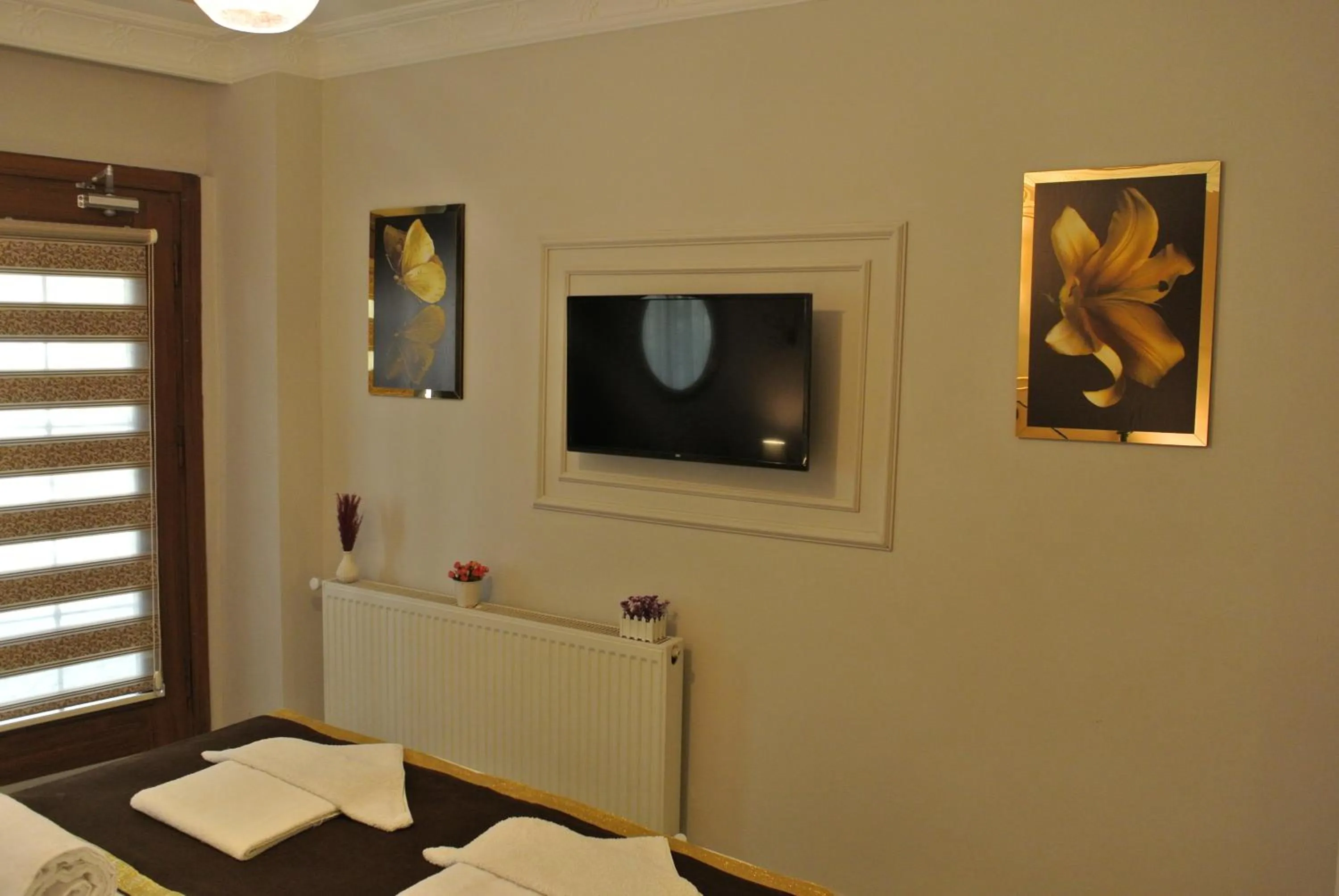 TV and multimedia in Emirhan Guesthouse & Suites