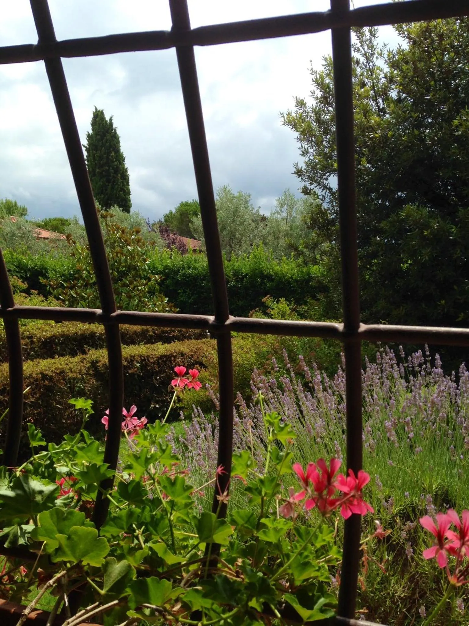 Garden view in Rosso Del Chianti