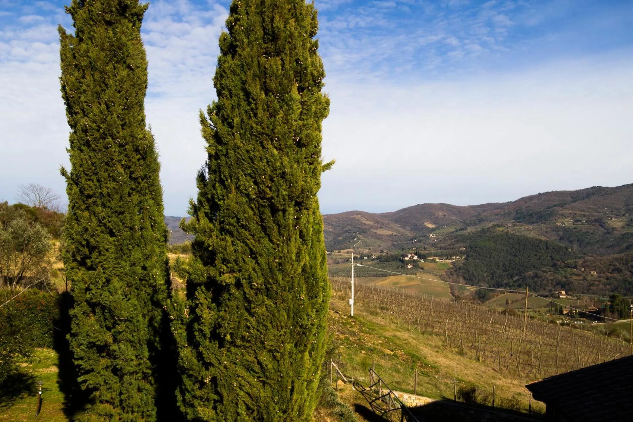 Natural landscape in Rosso Del Chianti
