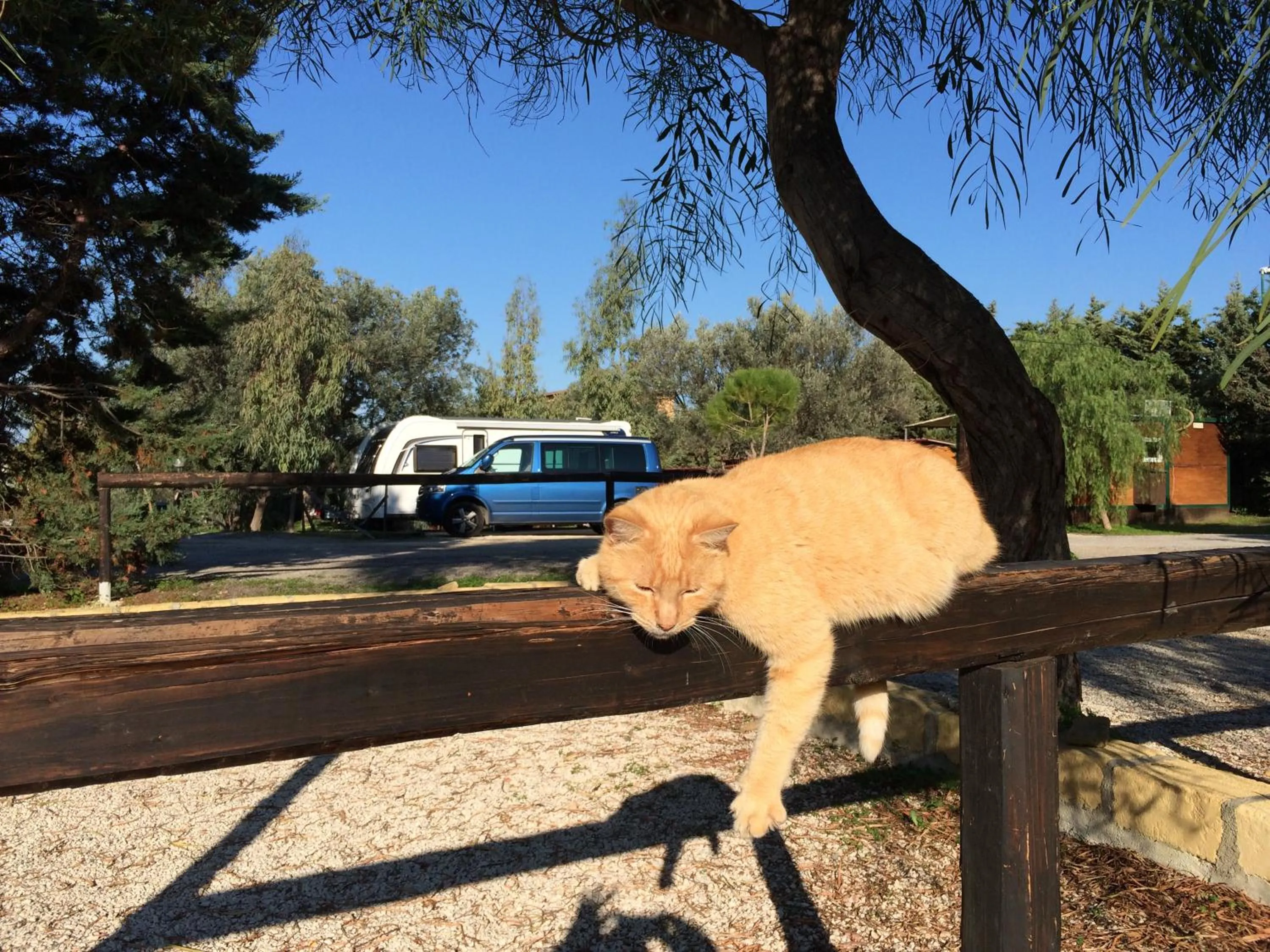 Garden in Camping Valle dei Templi