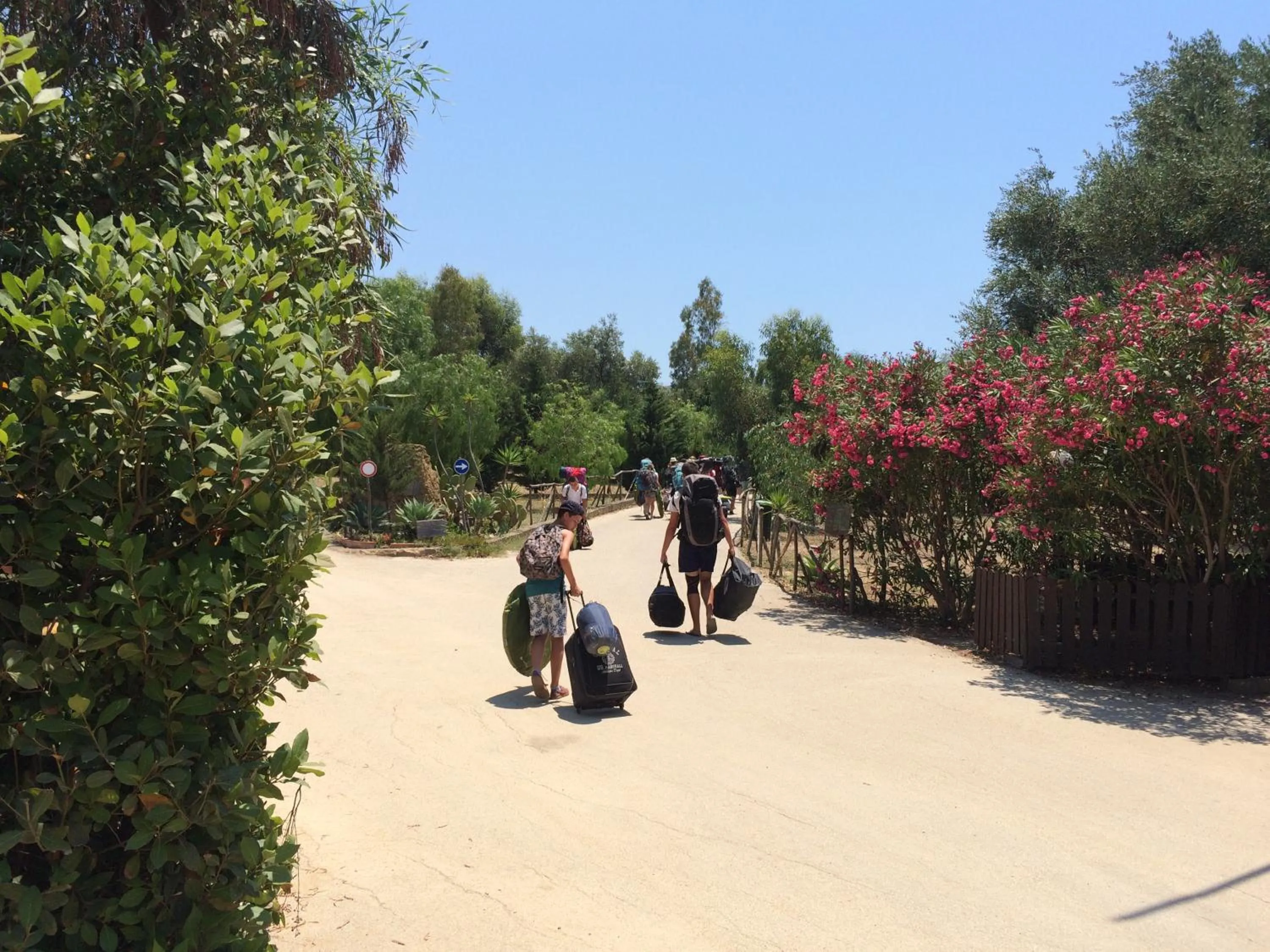 group of guests in Camping Valle dei Templi