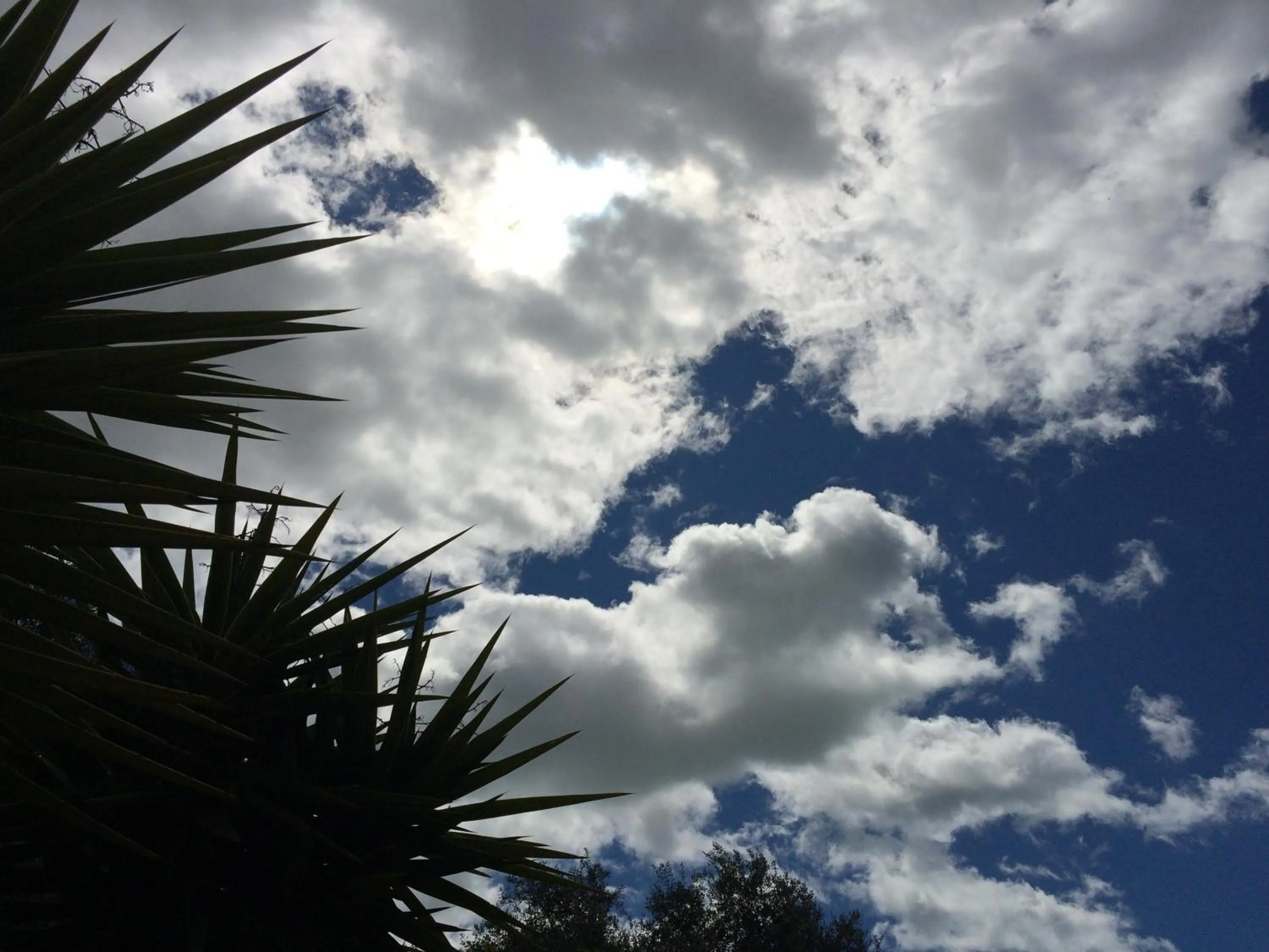 Natural landscape in Camping Valle dei Templi