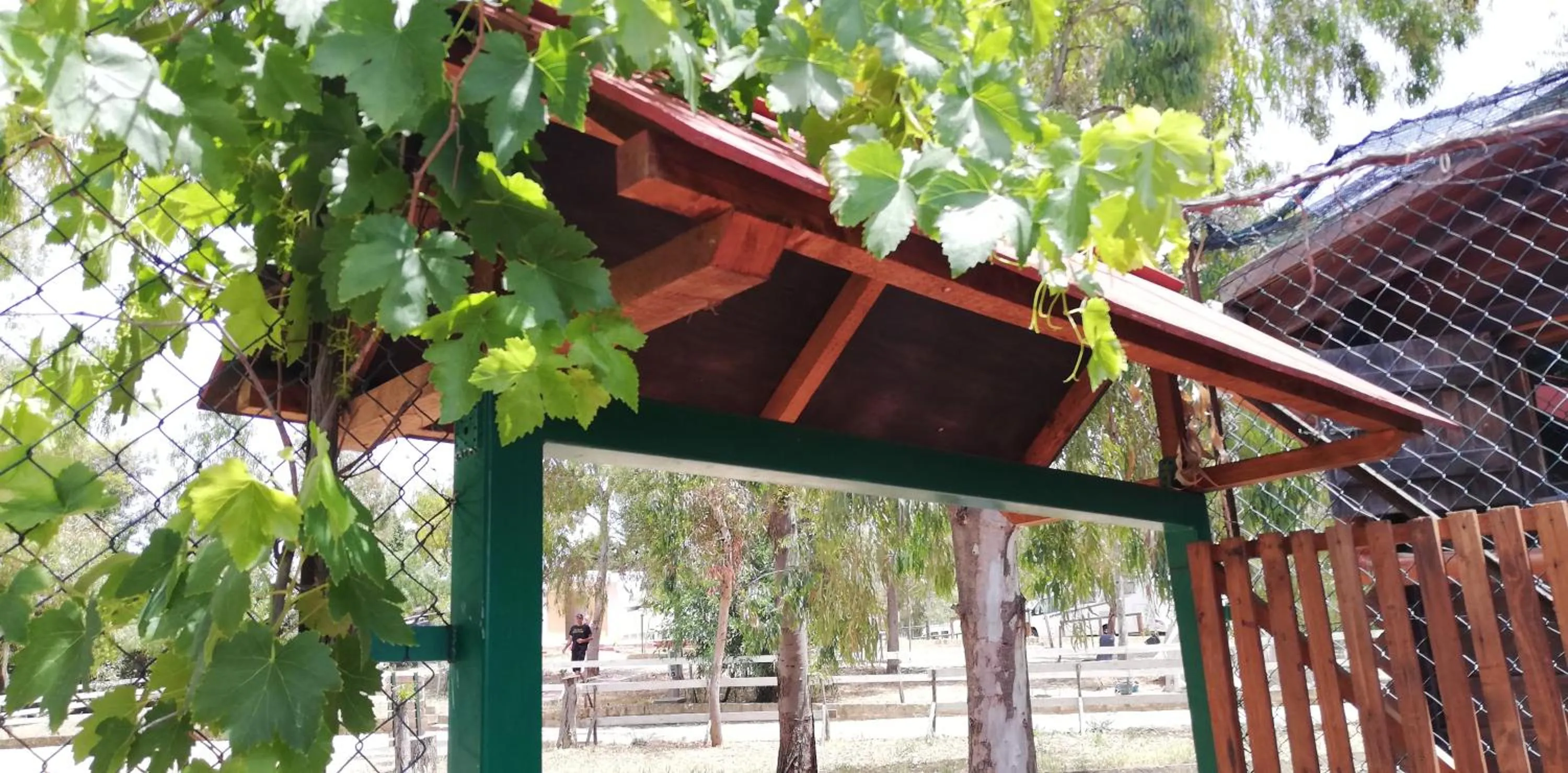 Spring in Camping Valle dei Templi