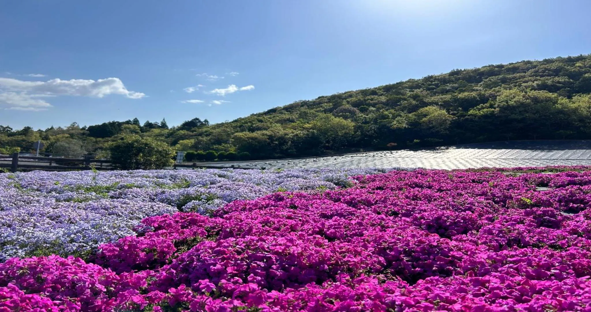 Nearby landmark in KAMENOI HOTEL Toba