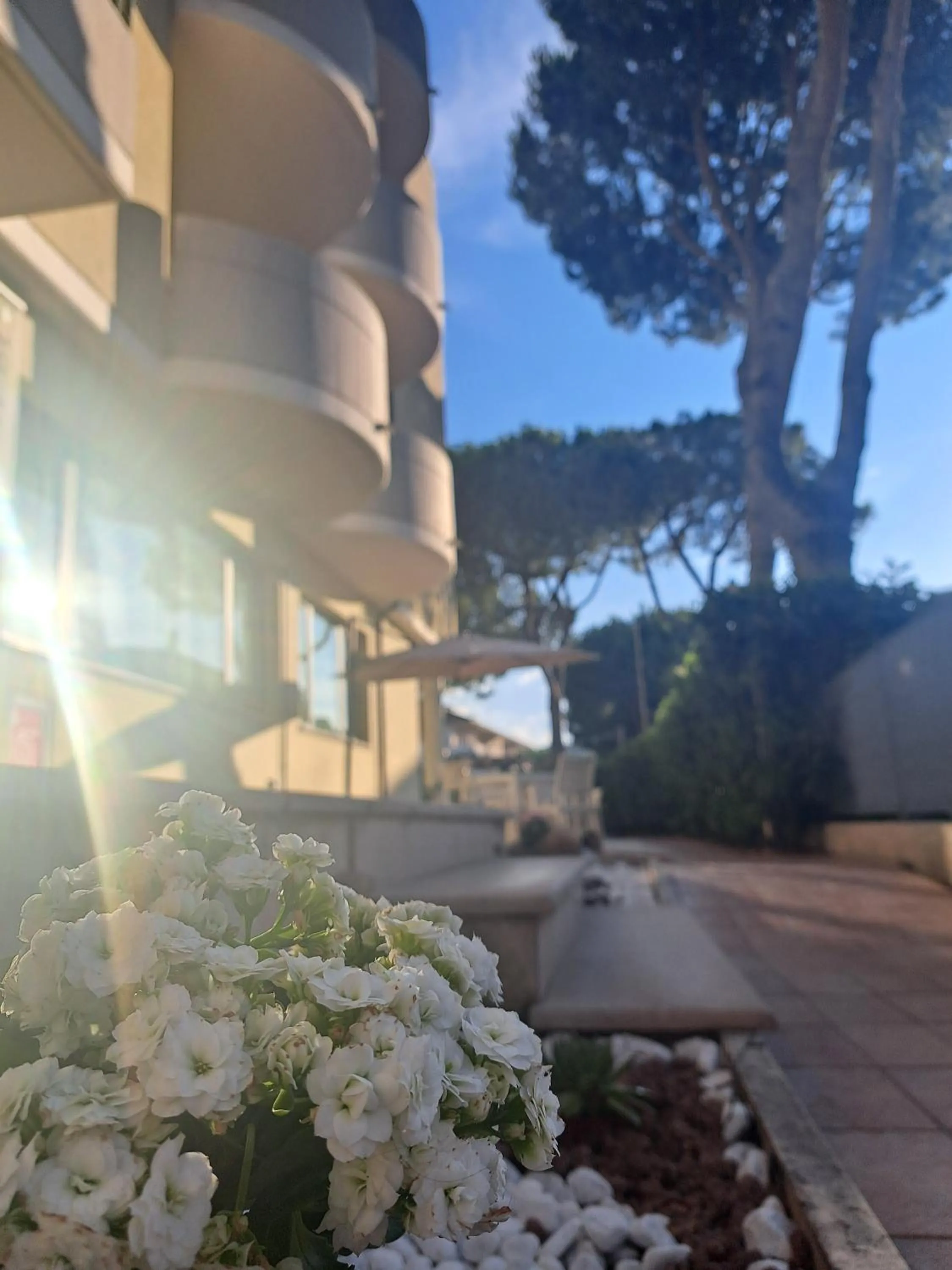 Property building in Hotel Marebello
