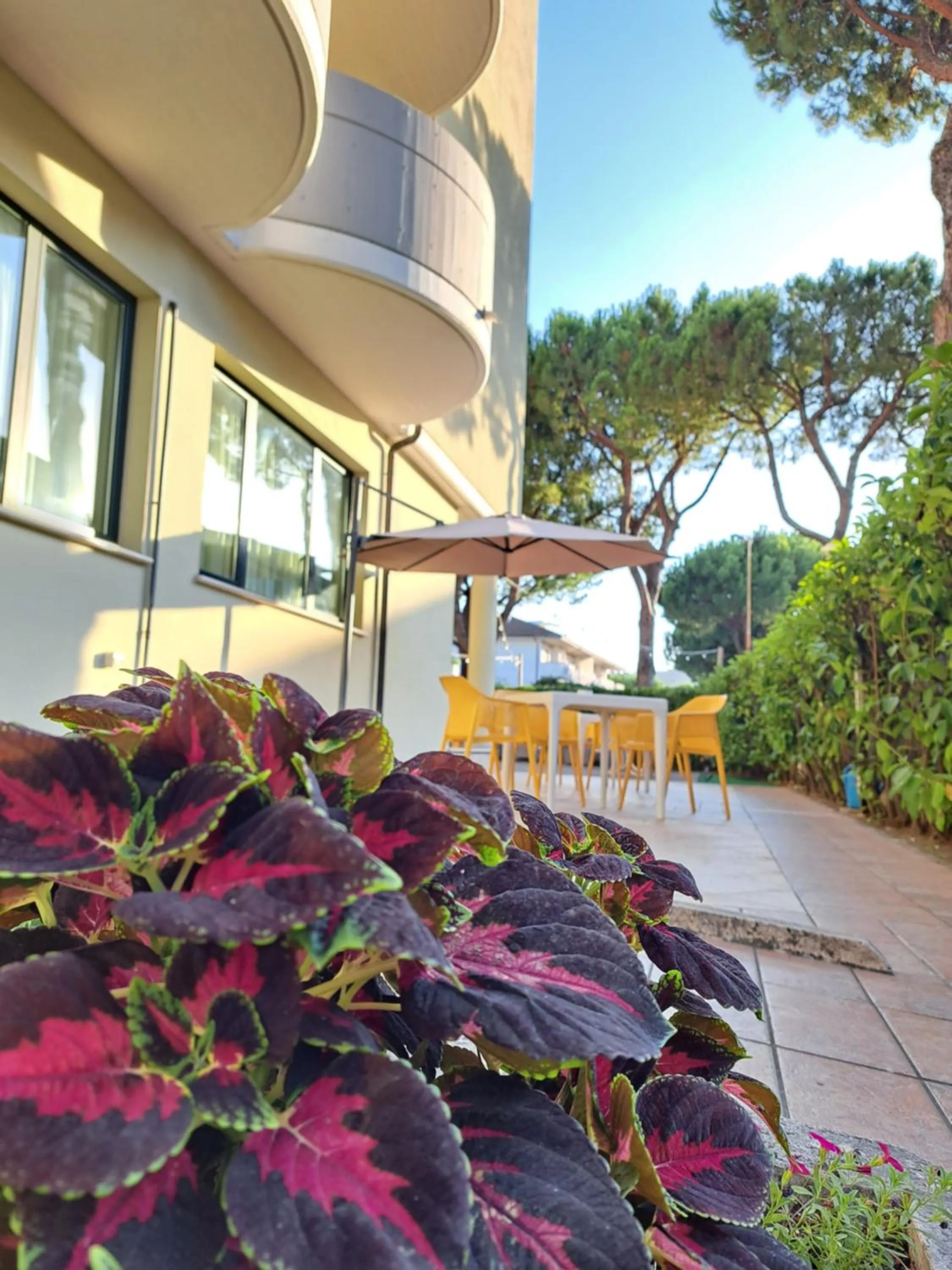 Property building in Hotel Marebello