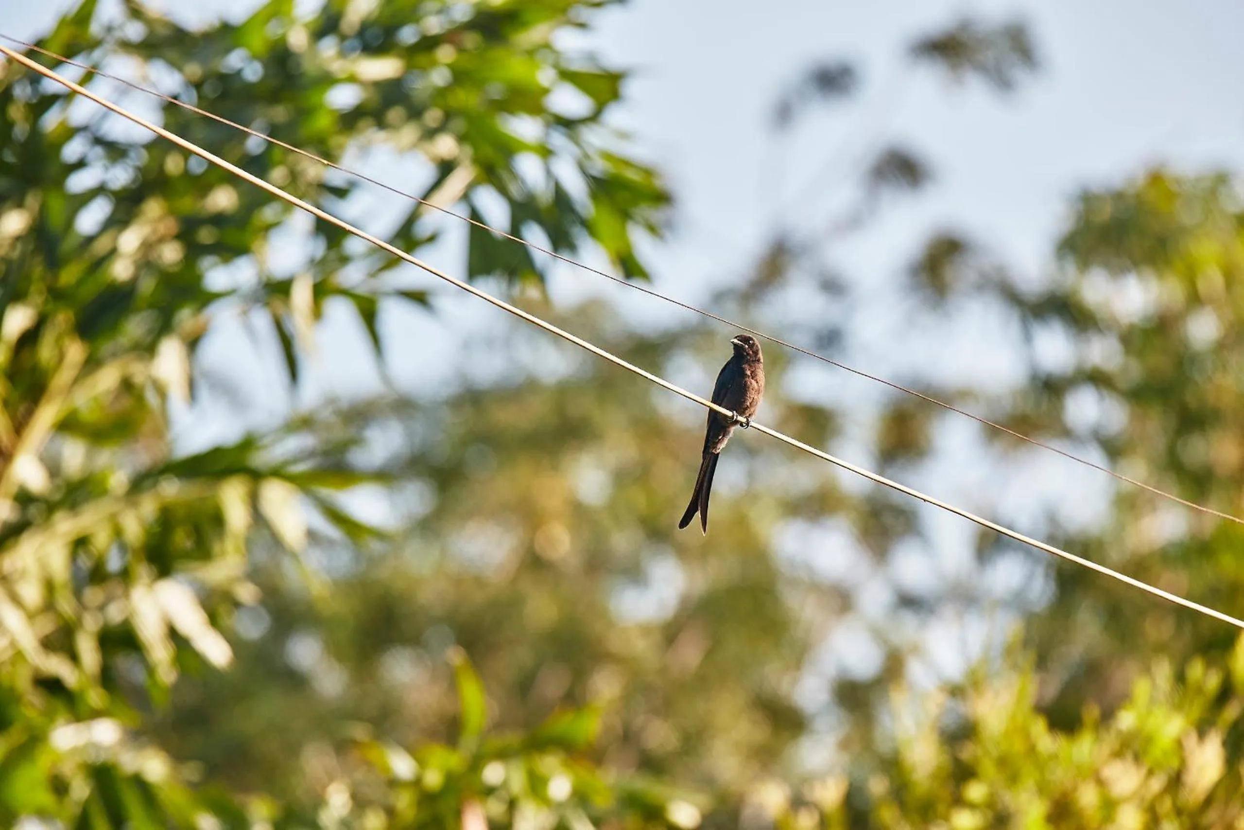 Holiday Valley Hotels And Resorts