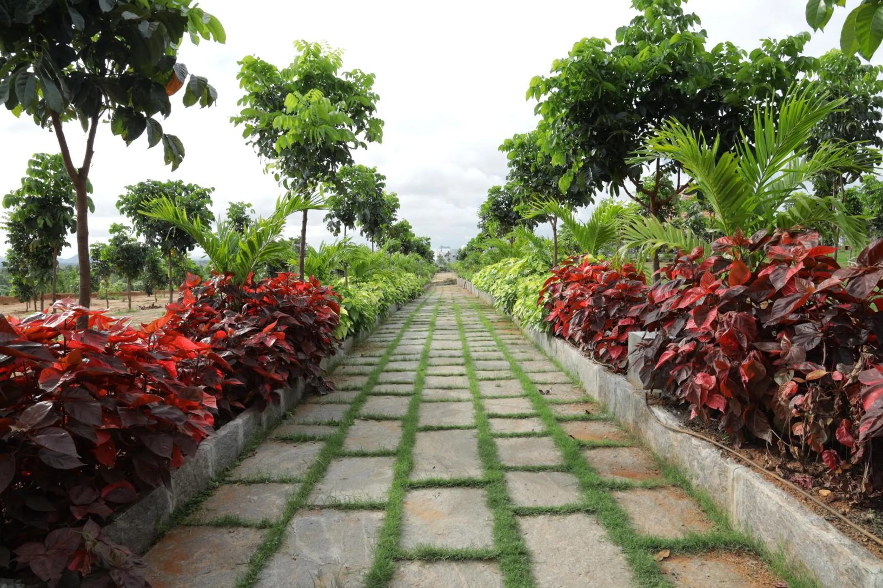 Holiday Valley Hotels And Resorts