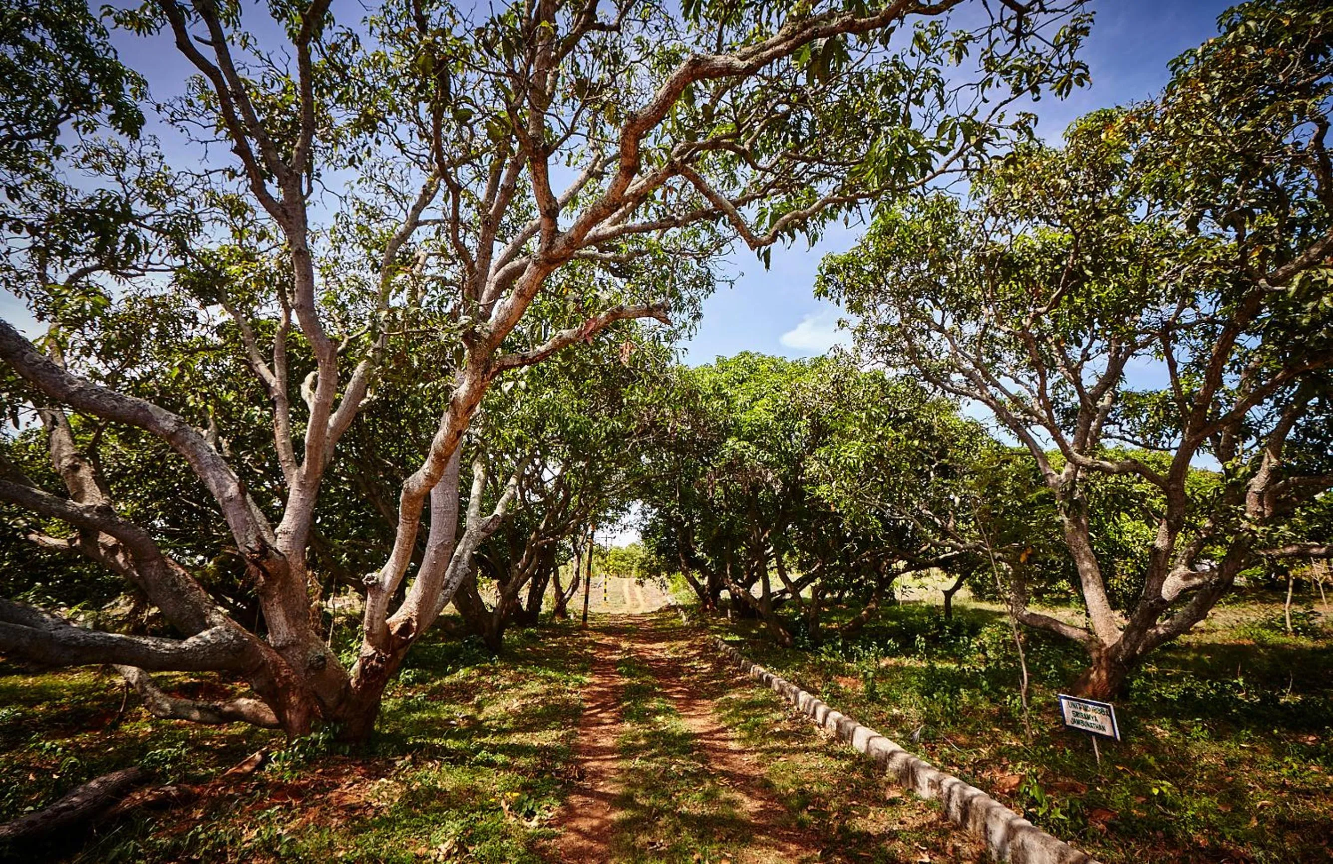 Natural landscape in Holiday Valley Hotels And Resorts