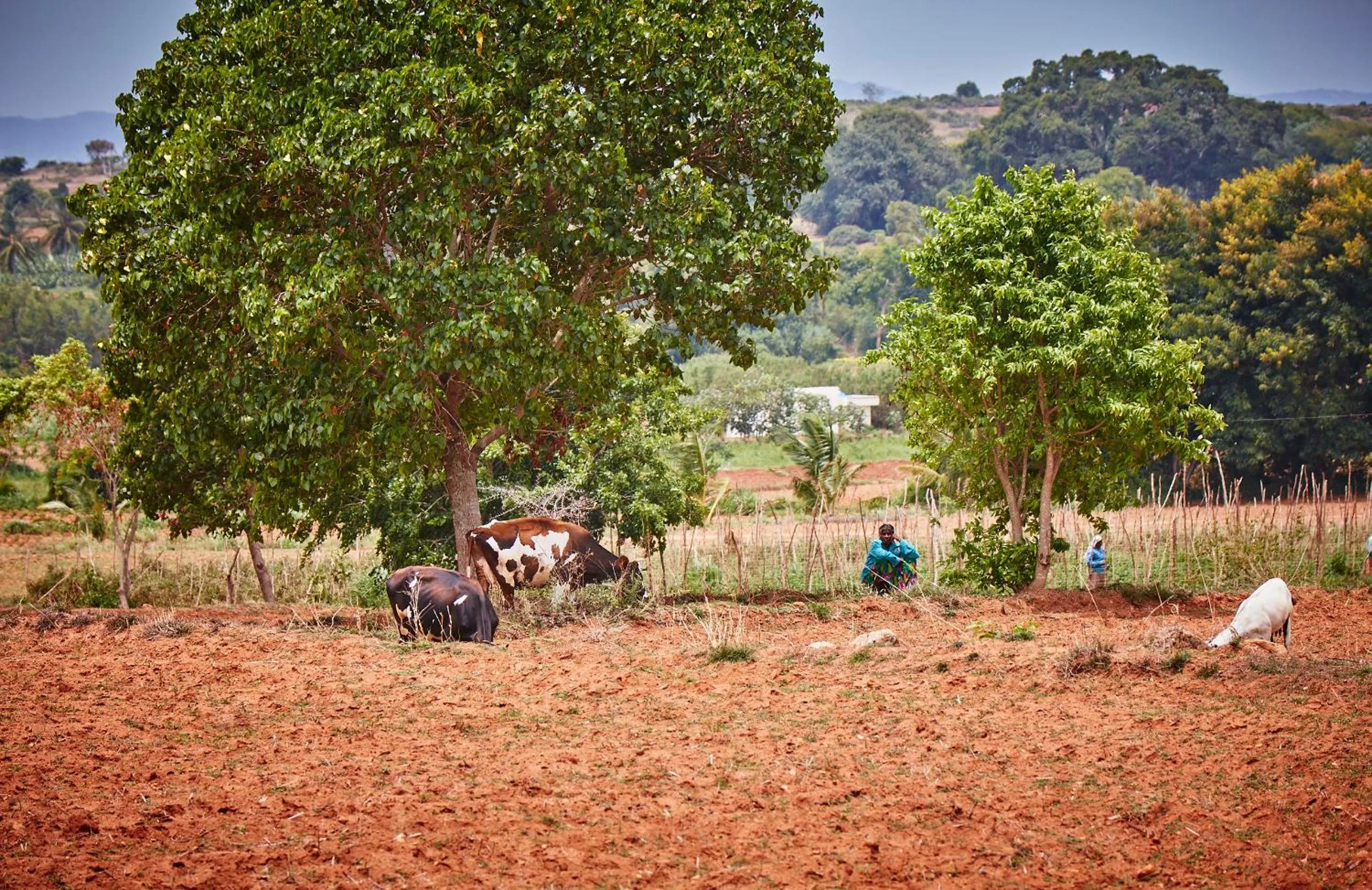 Holiday Valley Hotels And Resorts