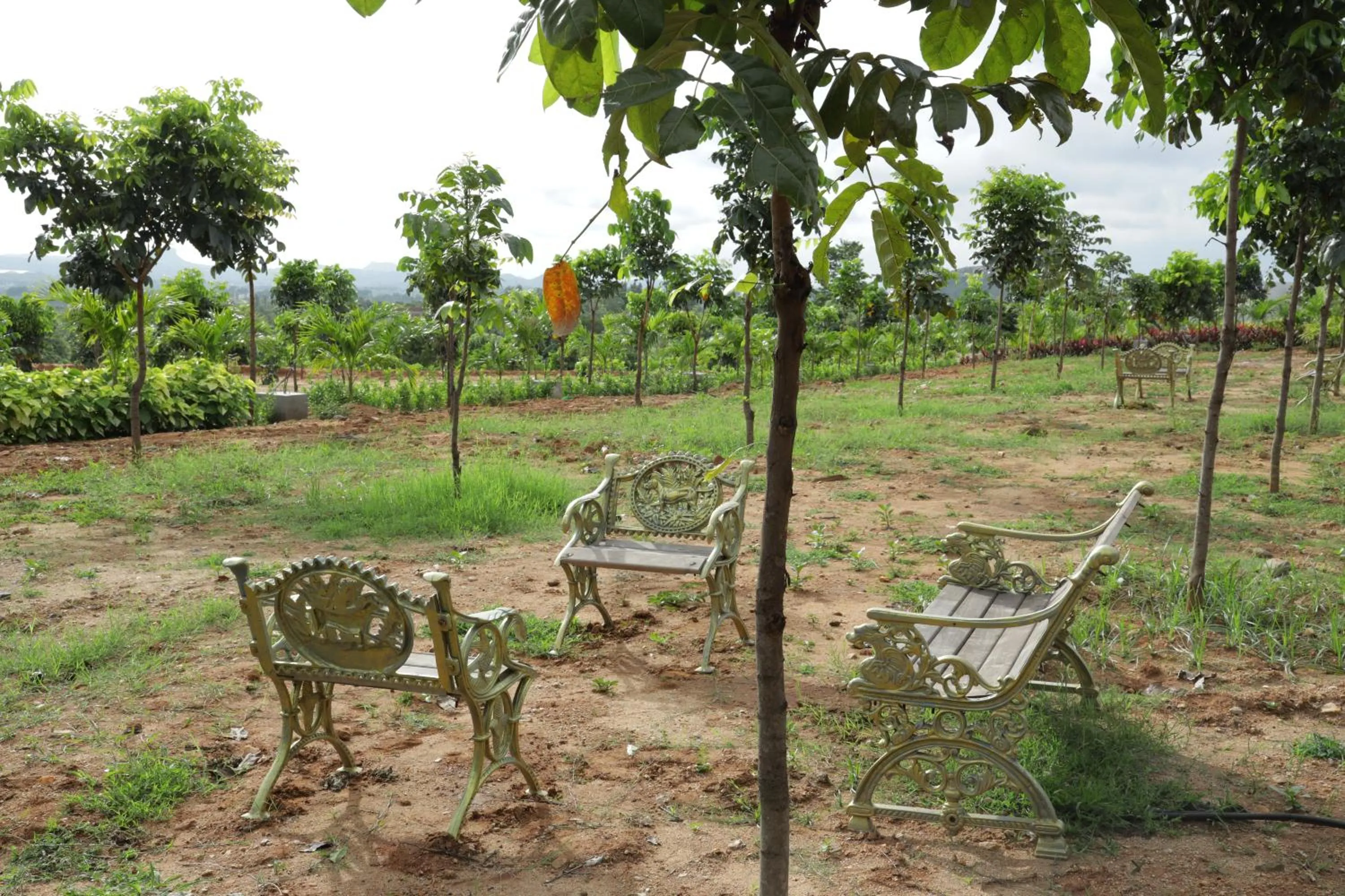 Holiday Valley Hotels And Resorts