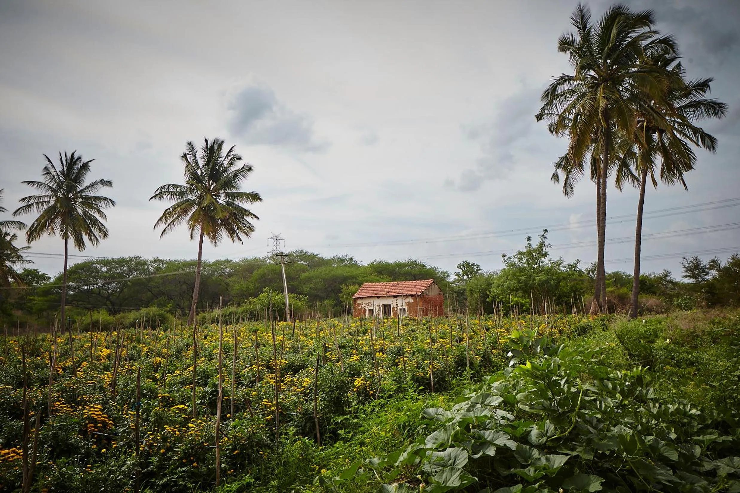 Nearby landmark in Holiday Valley Hotels And Resorts