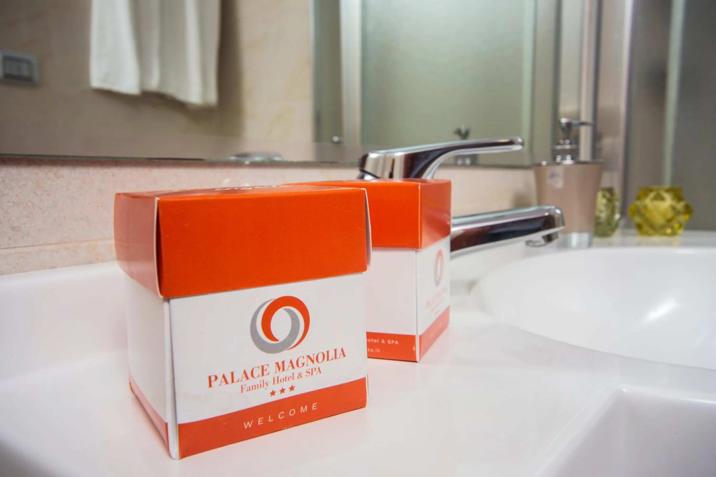 Property logo or sign in Hotel Palace Magnolia SPA