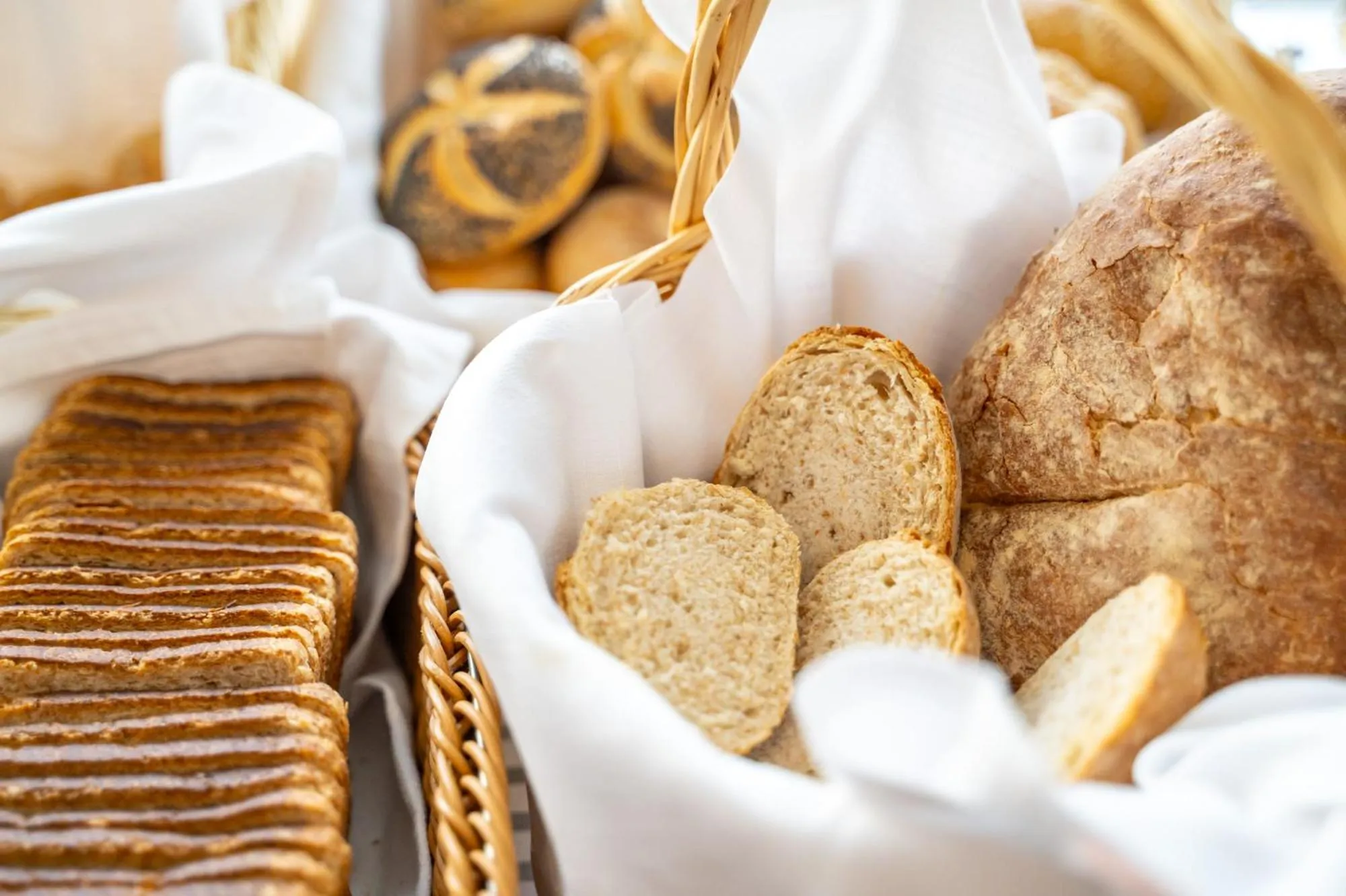 Food and drinks in Hotel Palace Magnolia SPA