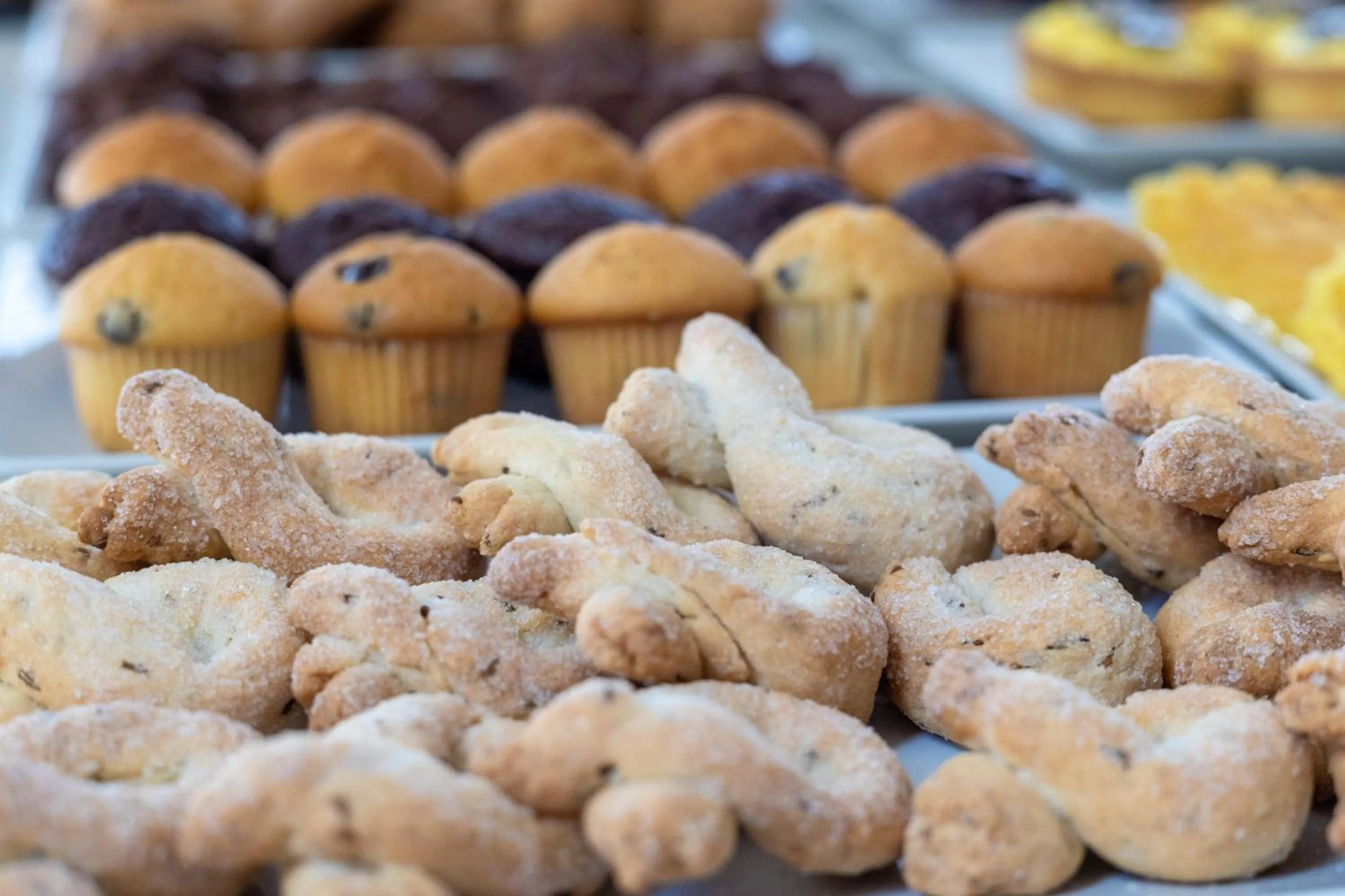 Buffet breakfast in Hotel Palace Magnolia SPA