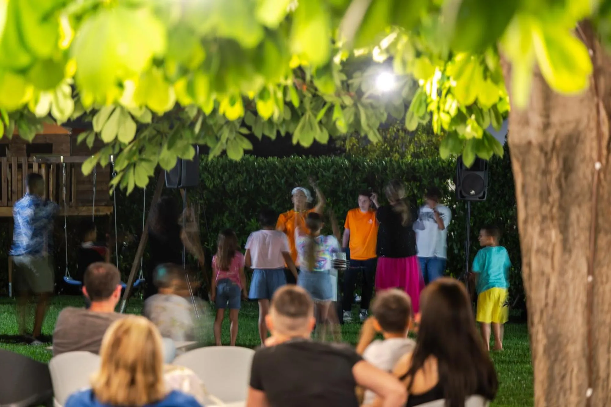 Garden in Hotel Palace Magnolia SPA