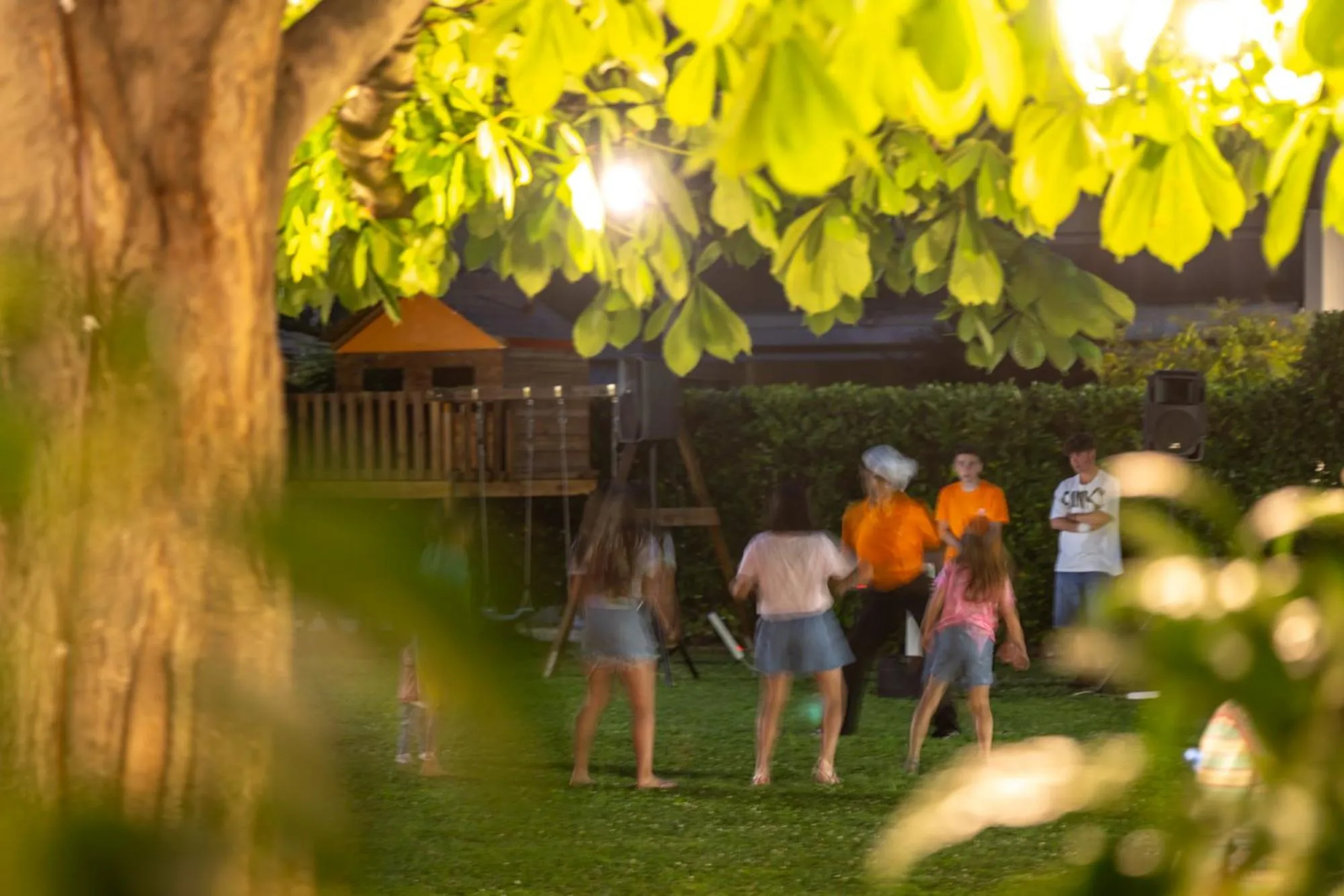 Garden in Hotel Palace Magnolia SPA