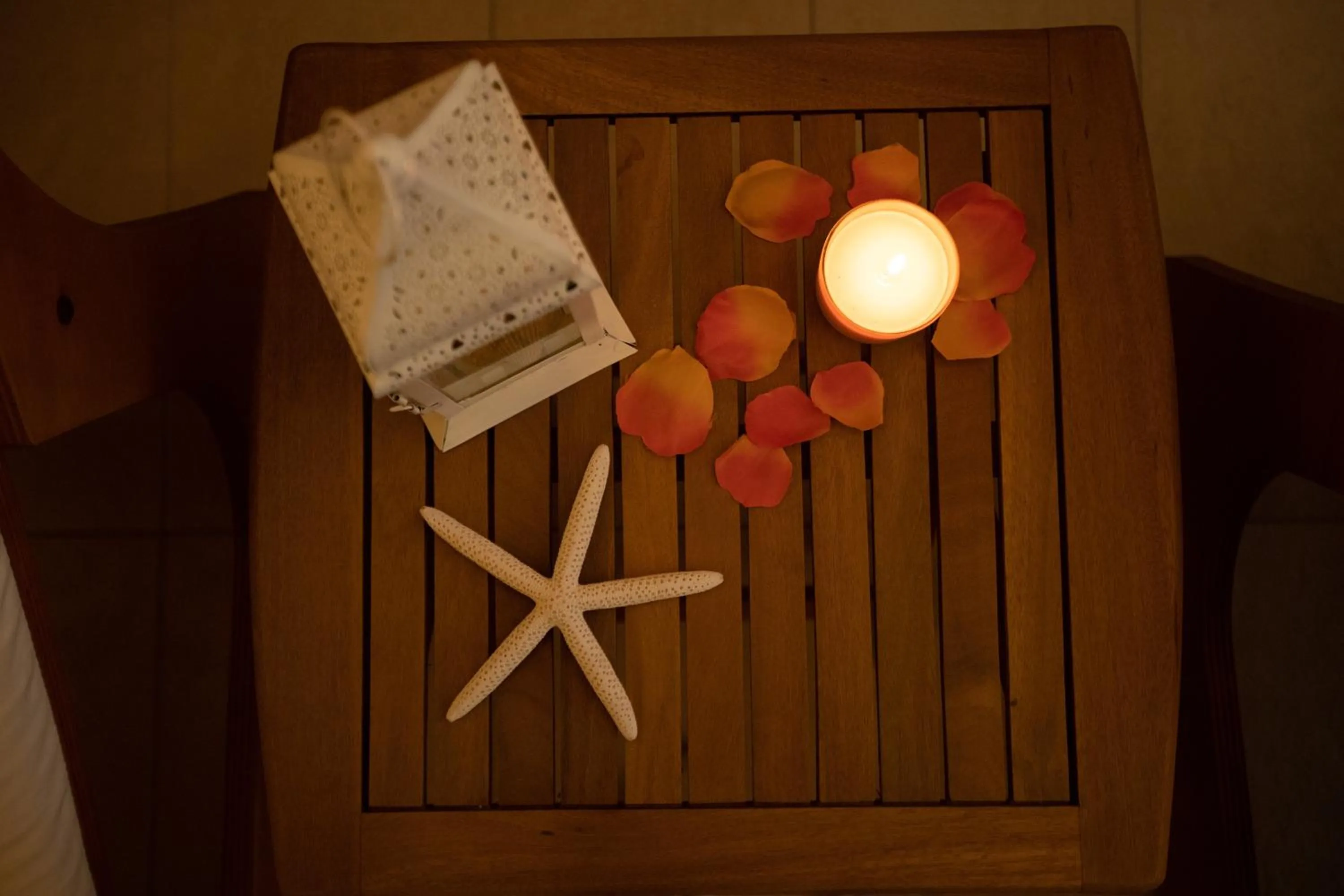 Spa and wellness centre/facilities in Hotel Palace Magnolia SPA