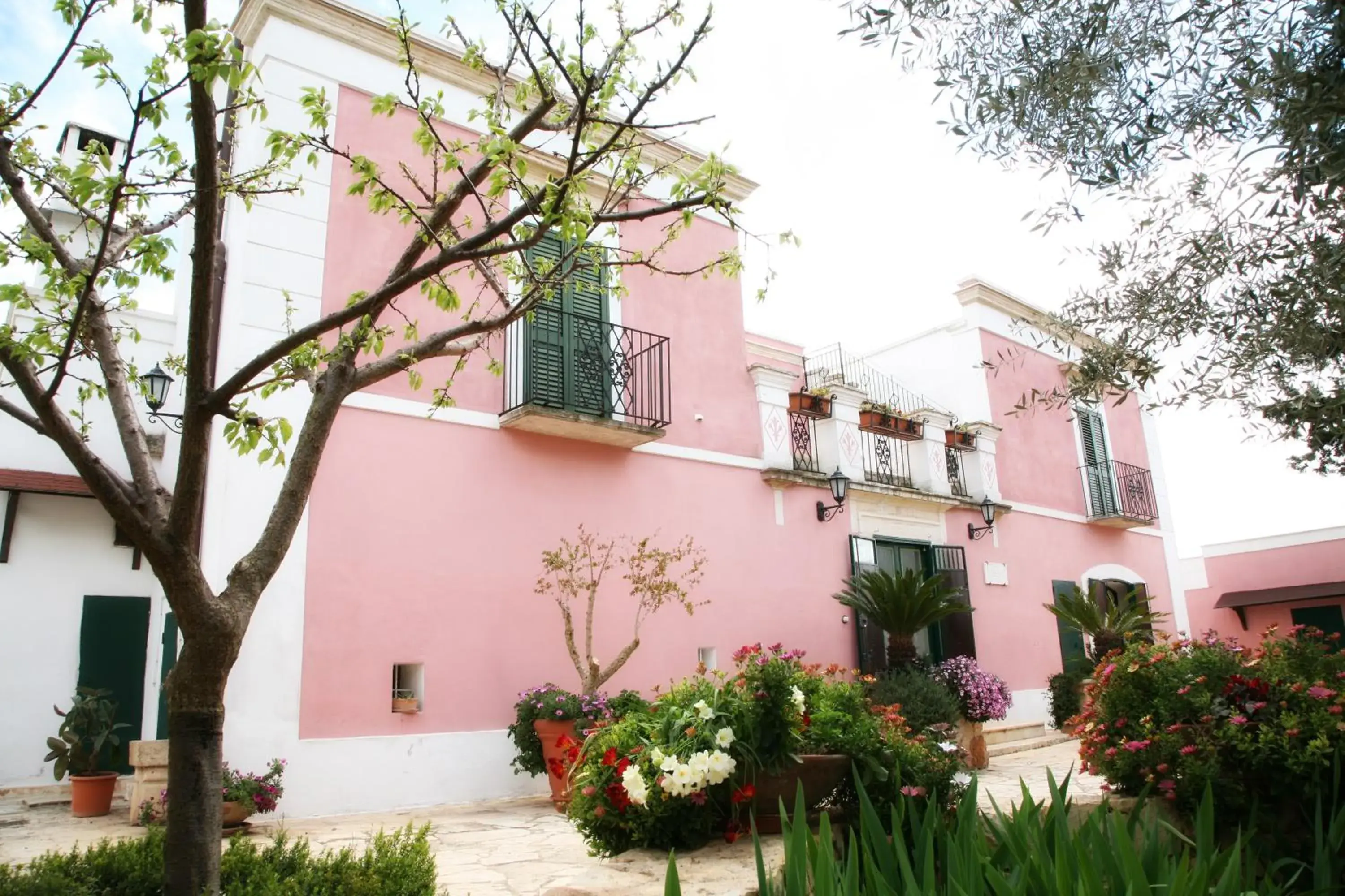 Dal Canonico Dal Canonico