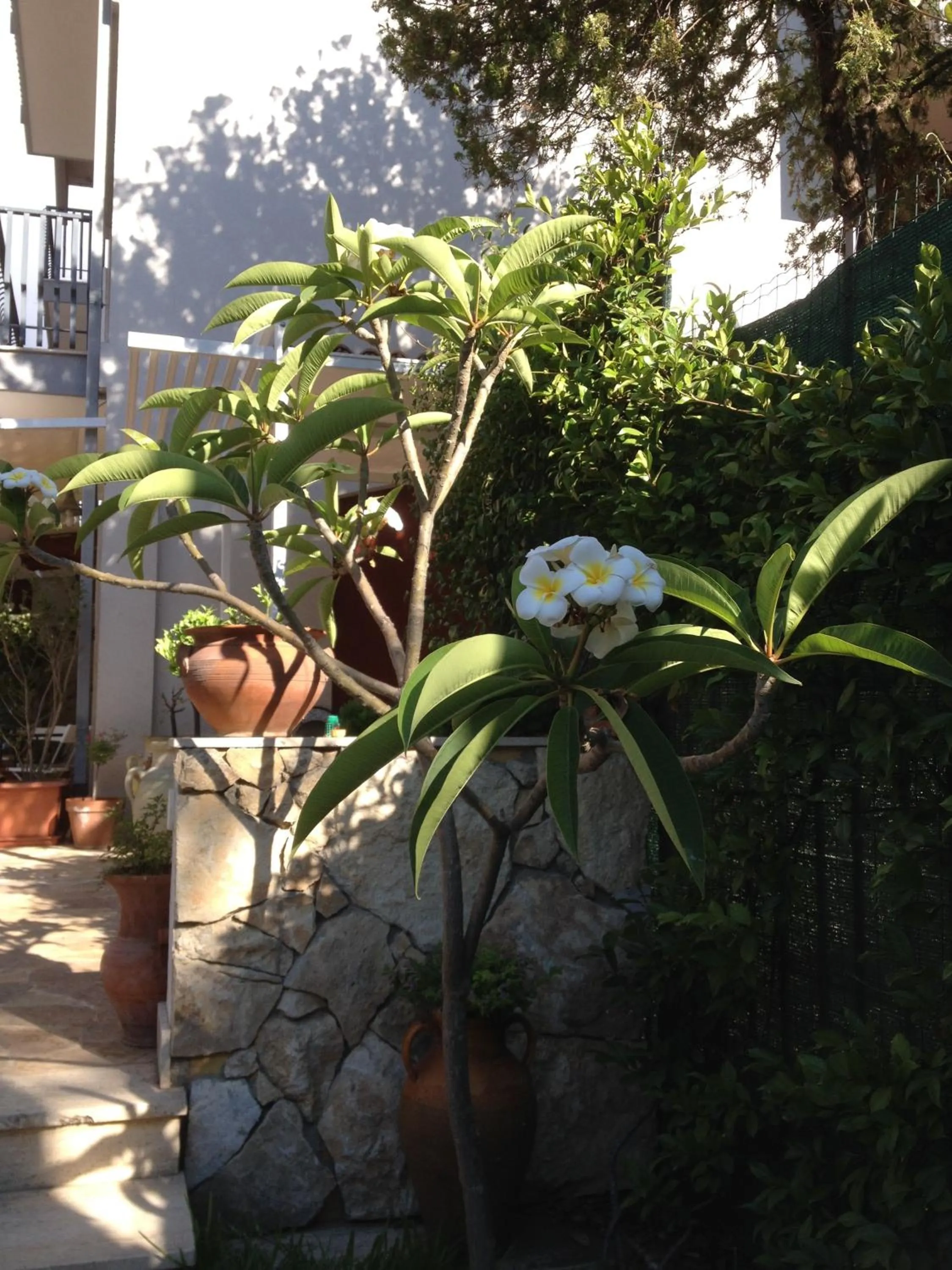 Il Giardino Dei Limoni