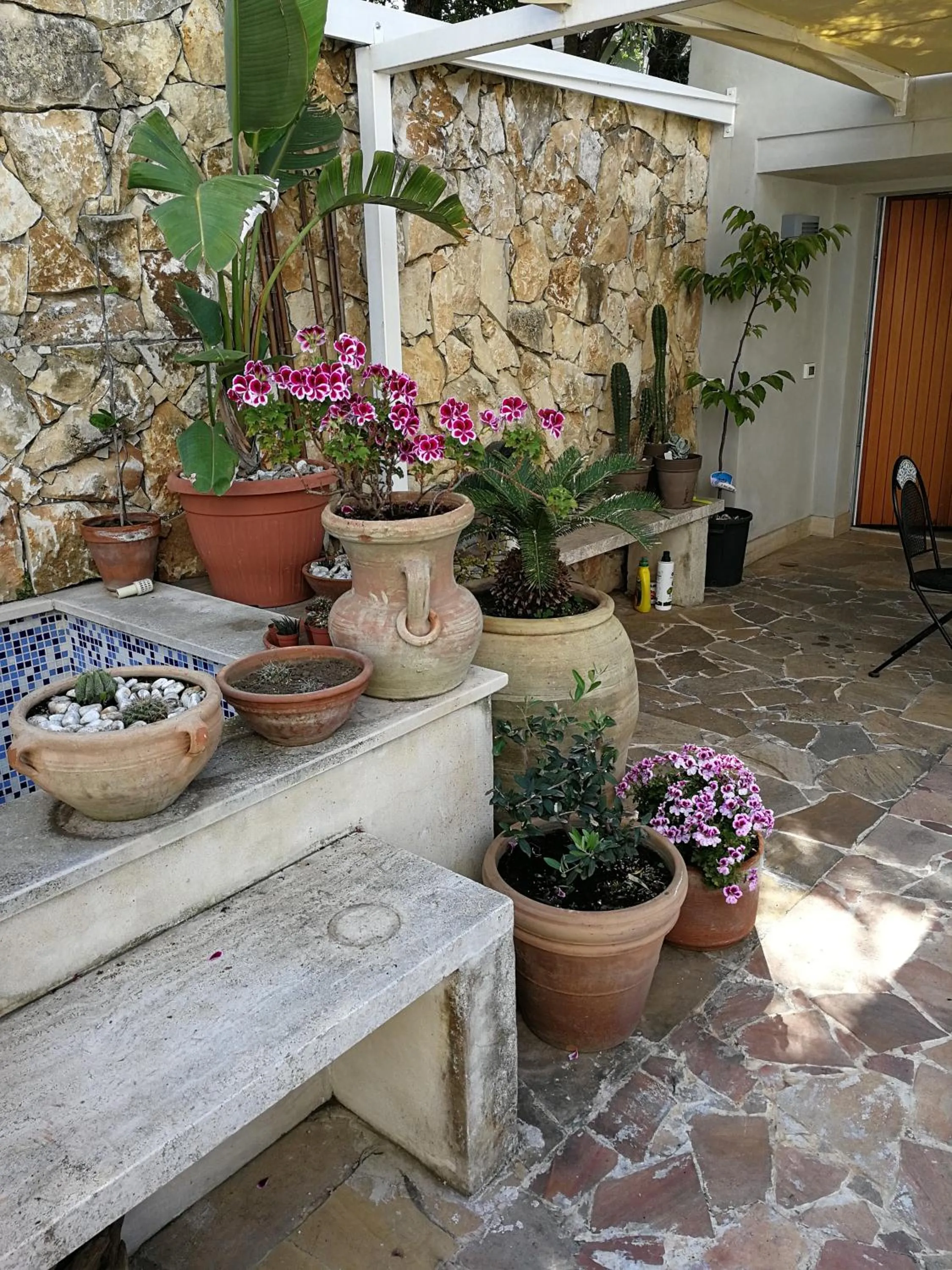 Balcony/Terrace in Il Giardino Dei Limoni
