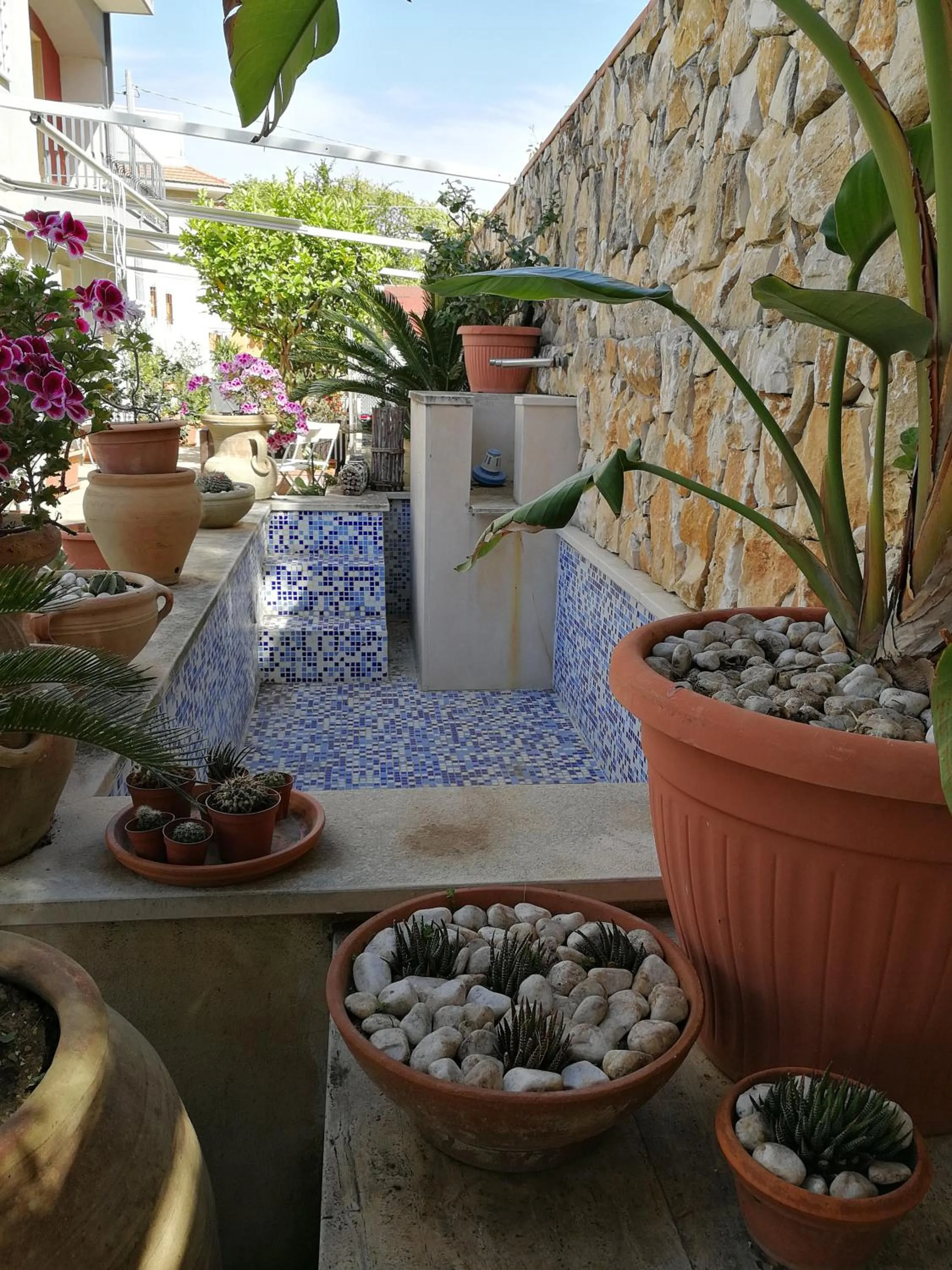 Il Giardino Dei Limoni