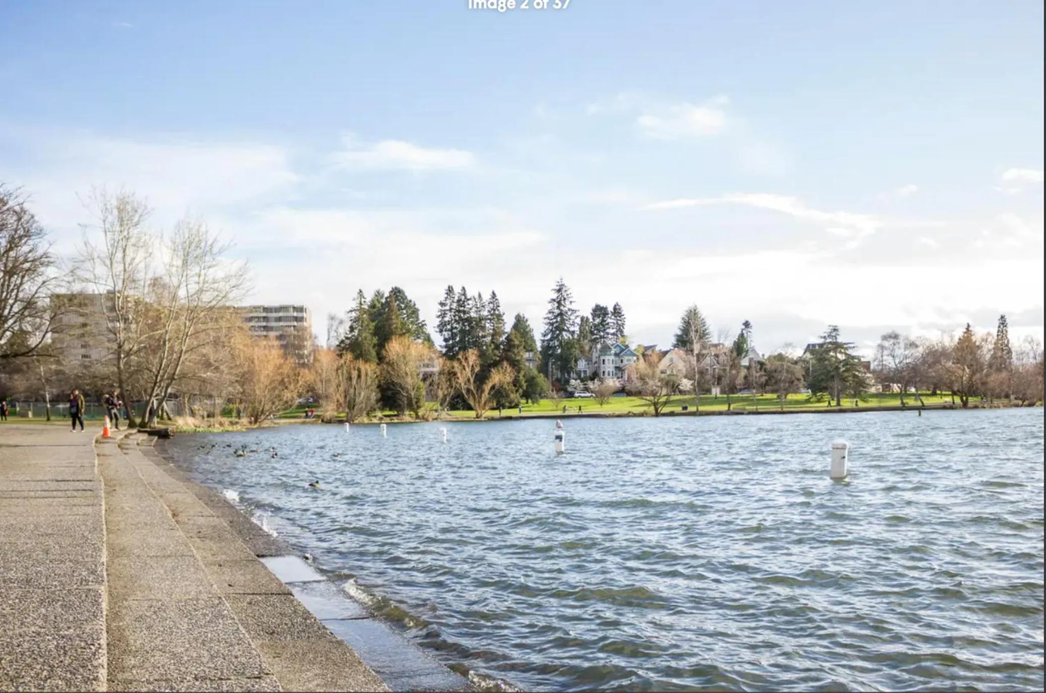 Phinneywood Hideaway - Zoo meets Lake