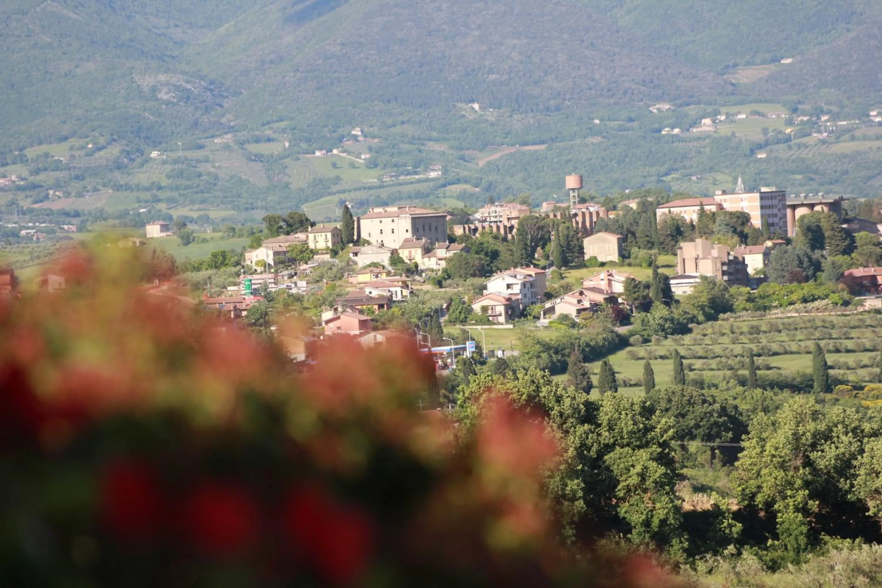 View (from property/room) in Il Focolare